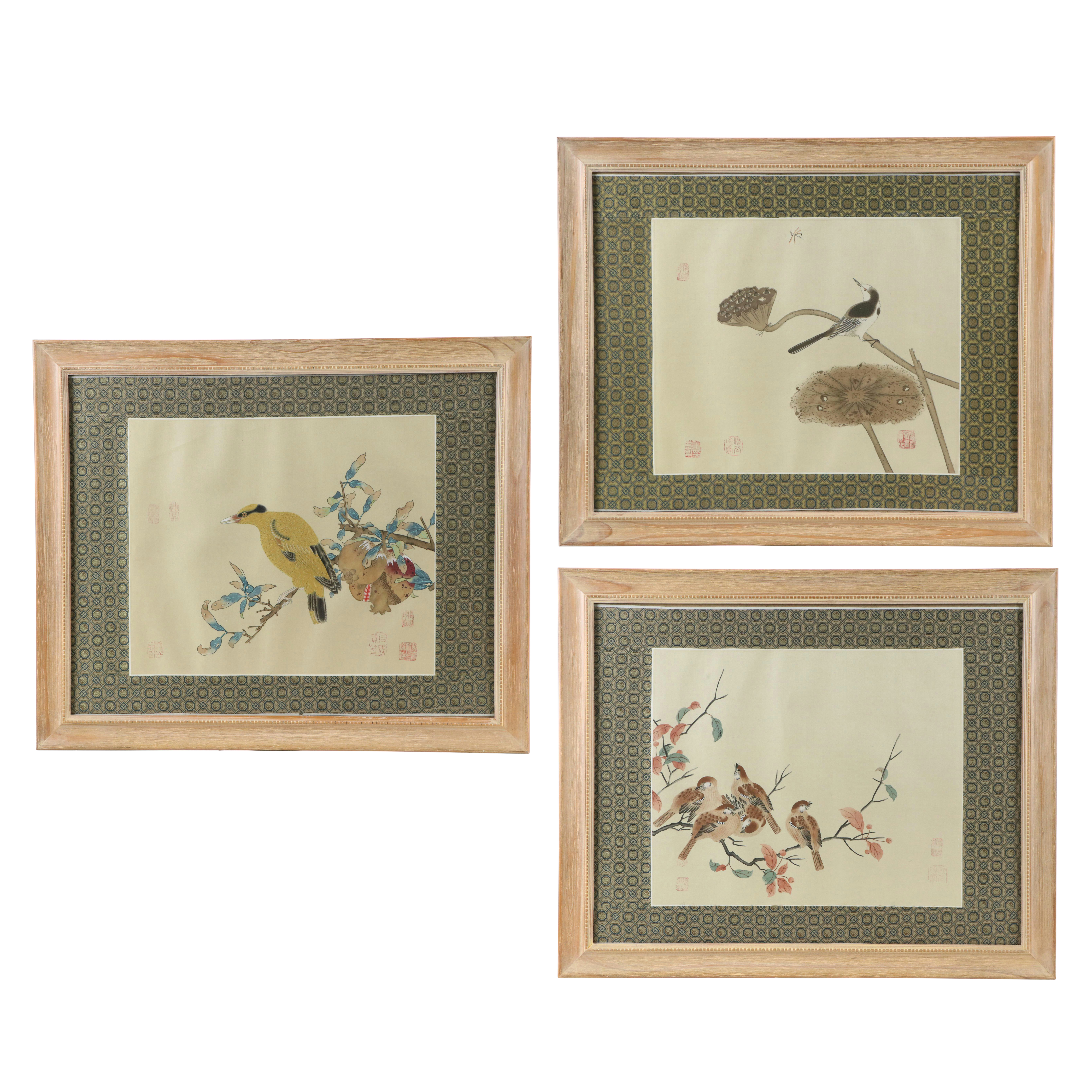 Chinese Ink and Watercolor Paintings of Birds and Vegetation