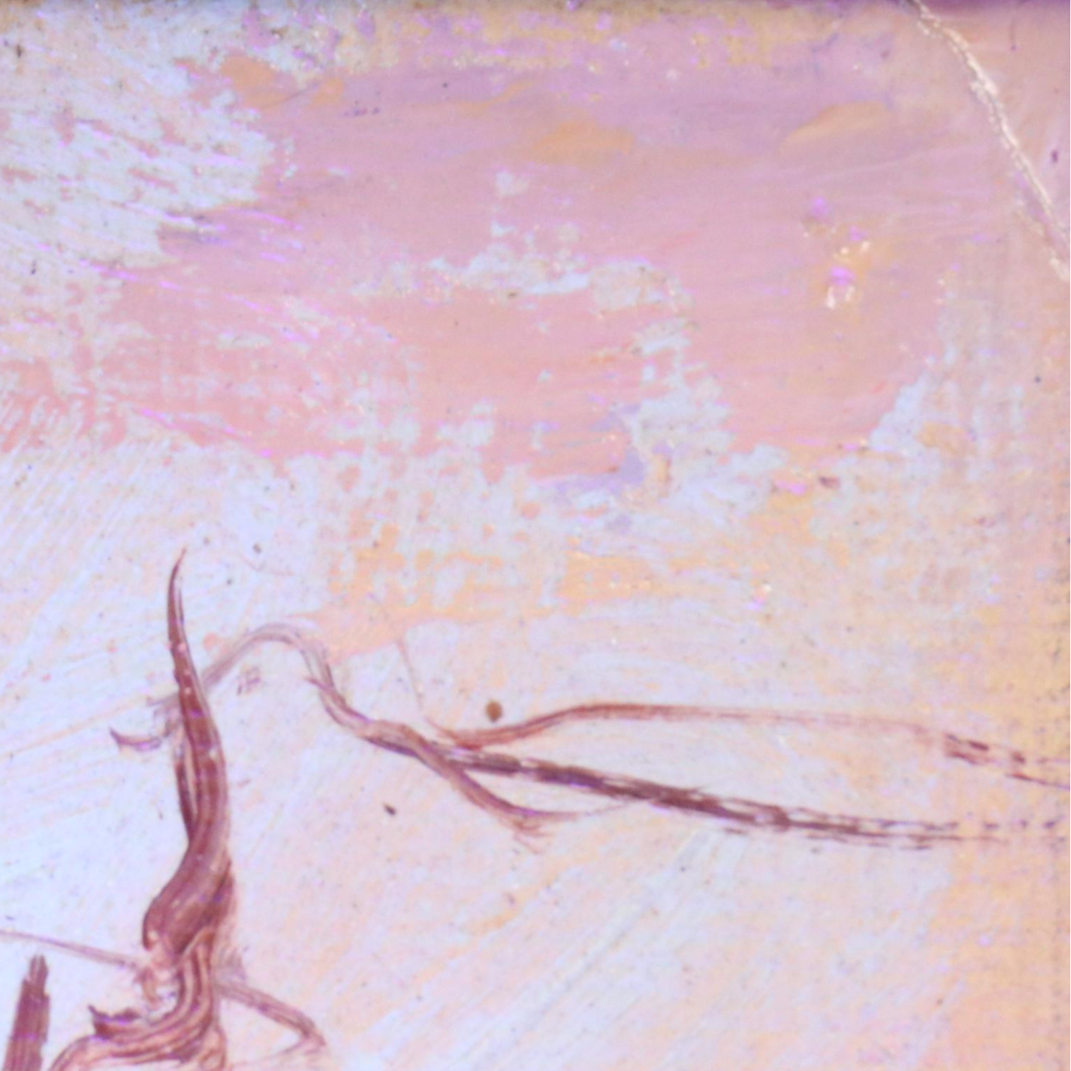 Attributed to Jeanne Reimbolte Landscape Oil Painting of Gnarled Tree