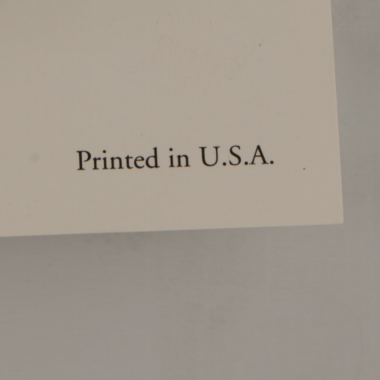 Offset Lithograph after Tsugoharu Foujita "The Cafe"