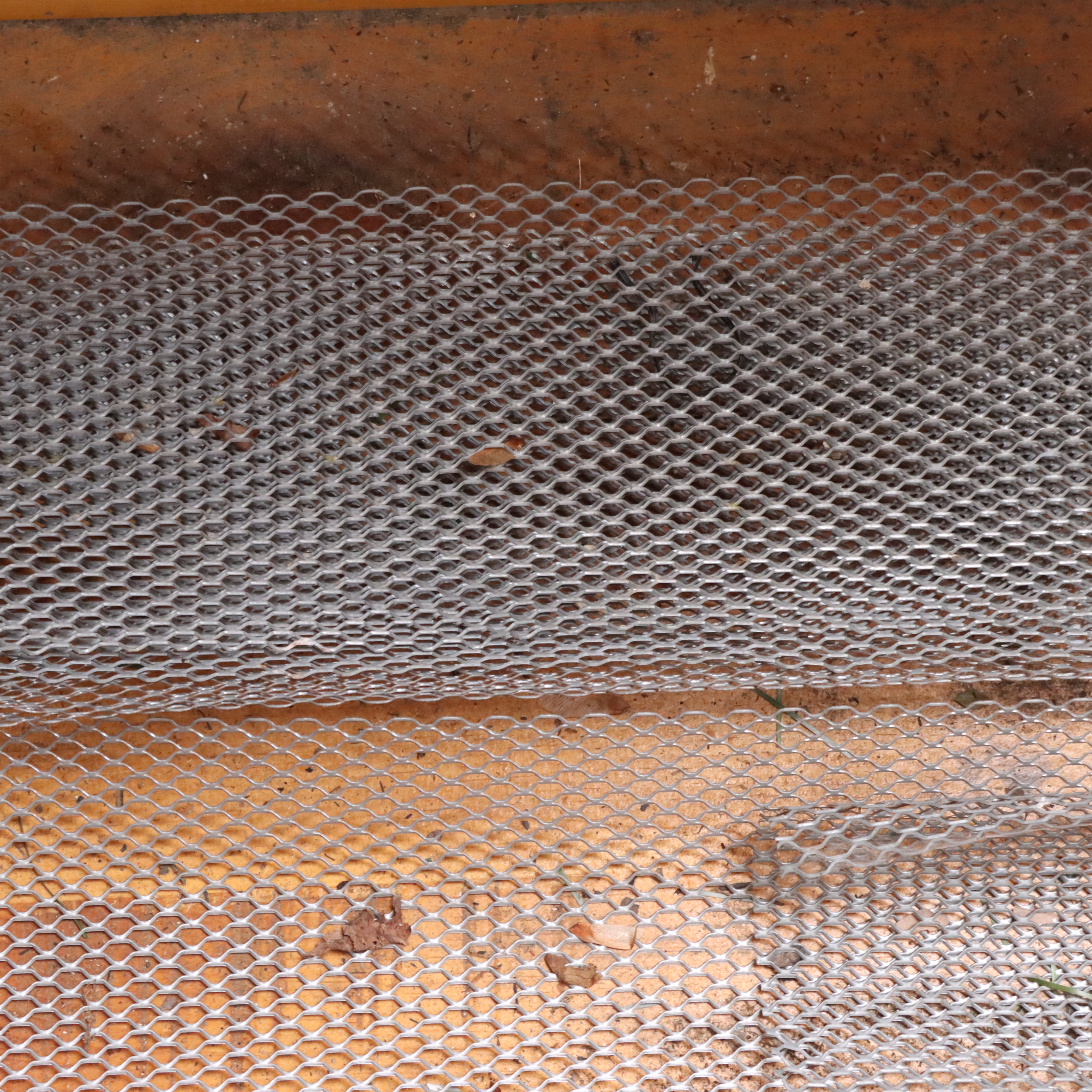 Green Painted Wood Storage Bench