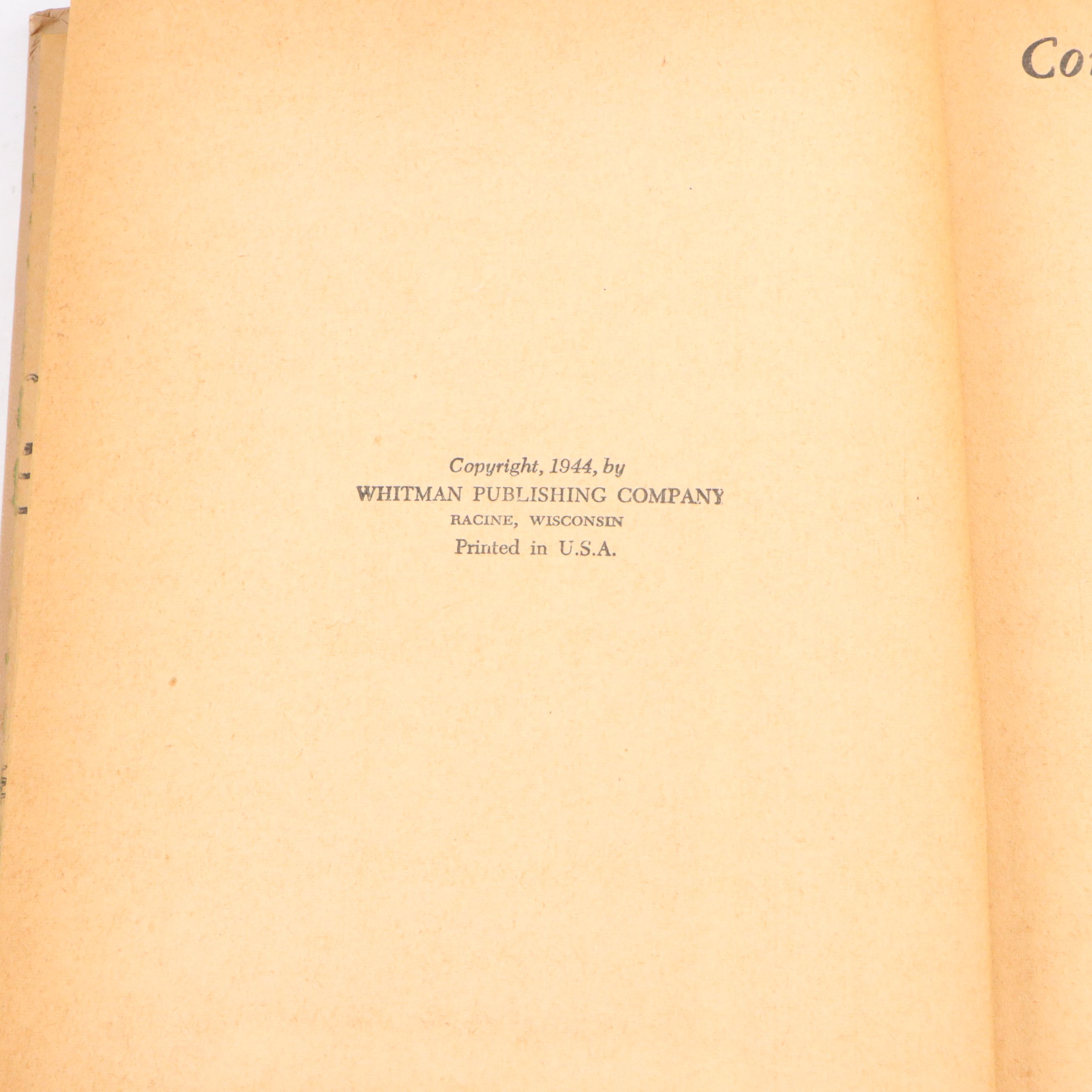 Illustrated "The Adventures of Tom Sawyer" by Mark Twain and More Books