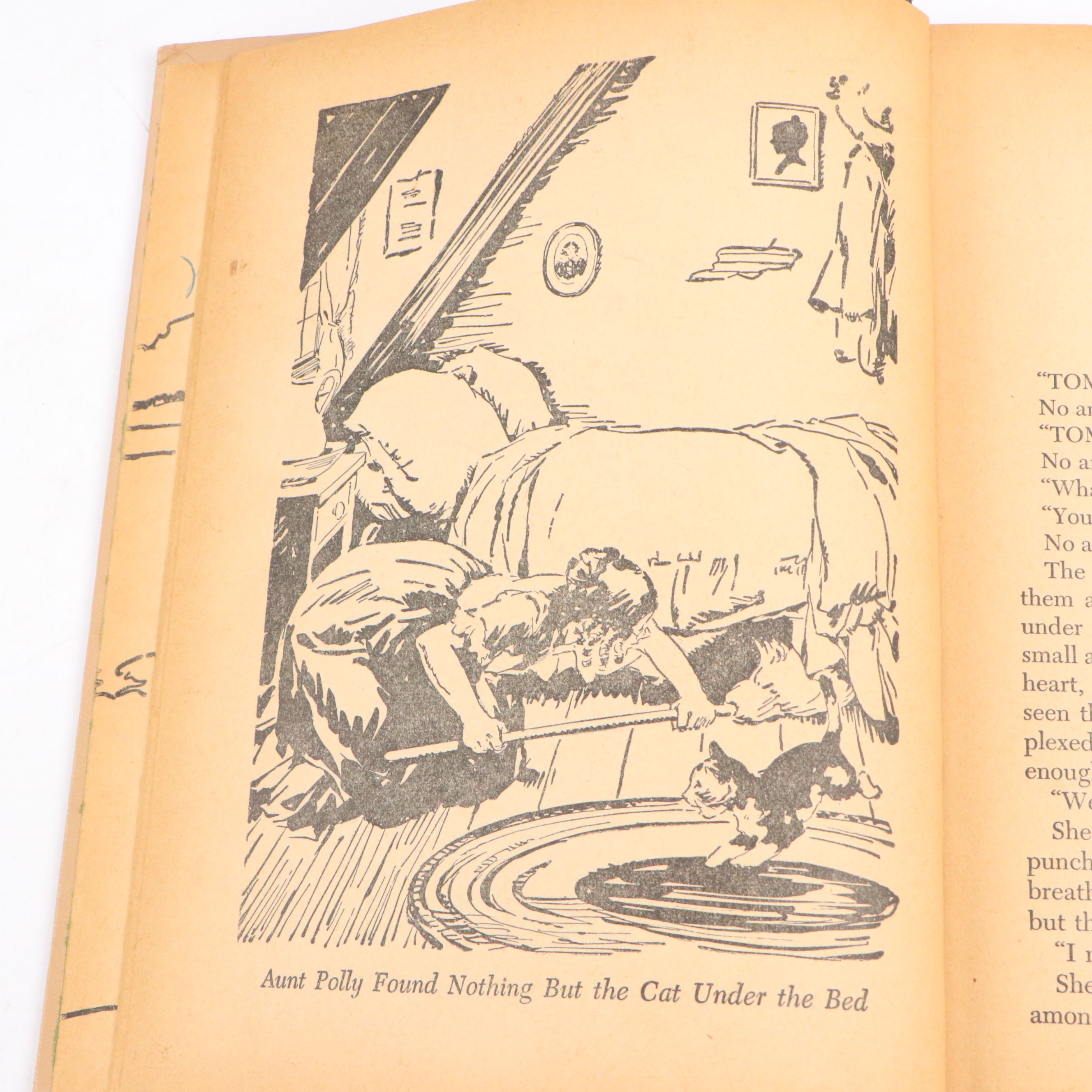 Illustrated "The Adventures of Tom Sawyer" by Mark Twain and More Books