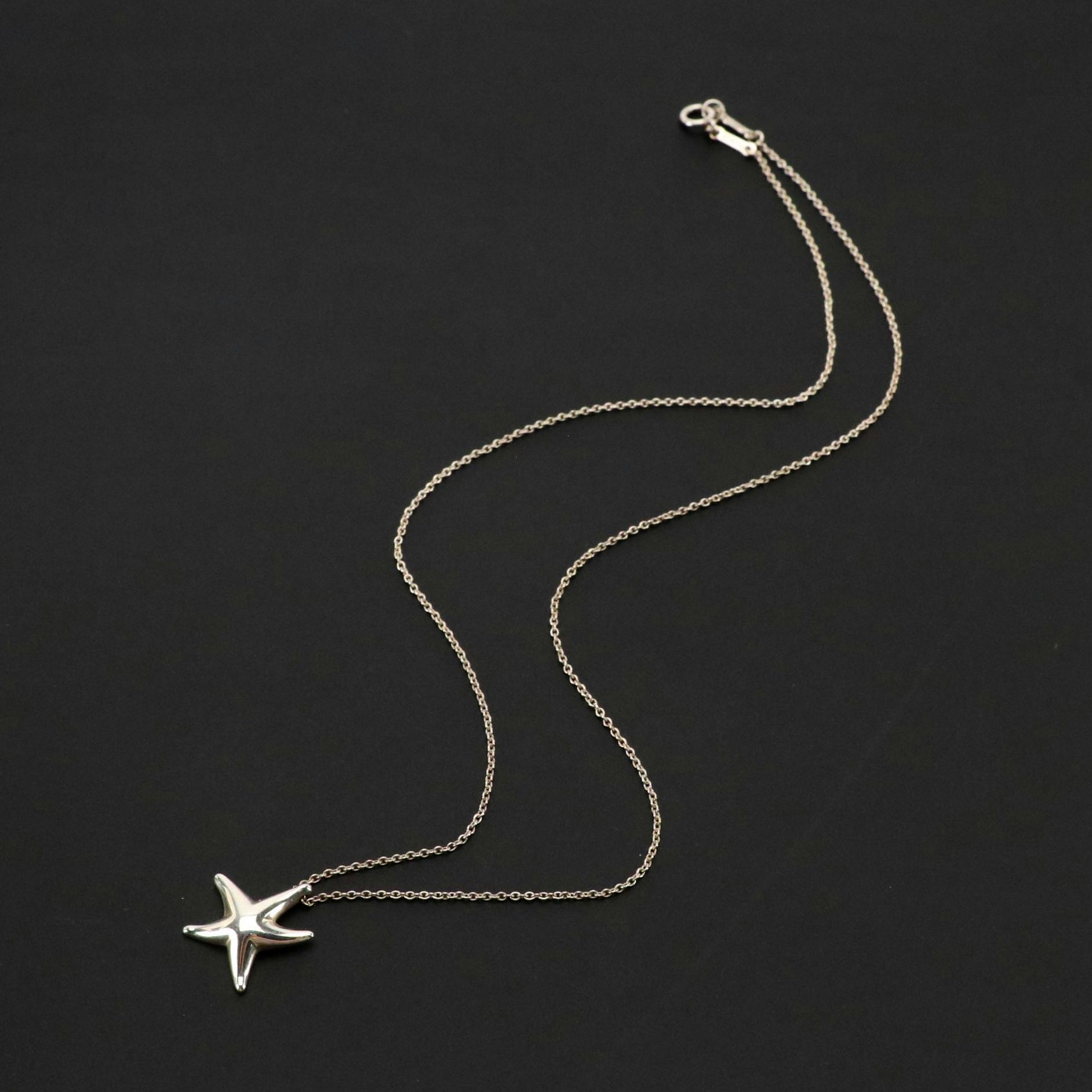 Elsa Peretti for Tiffany & Co. Sterling Starfish Pendant Necklace