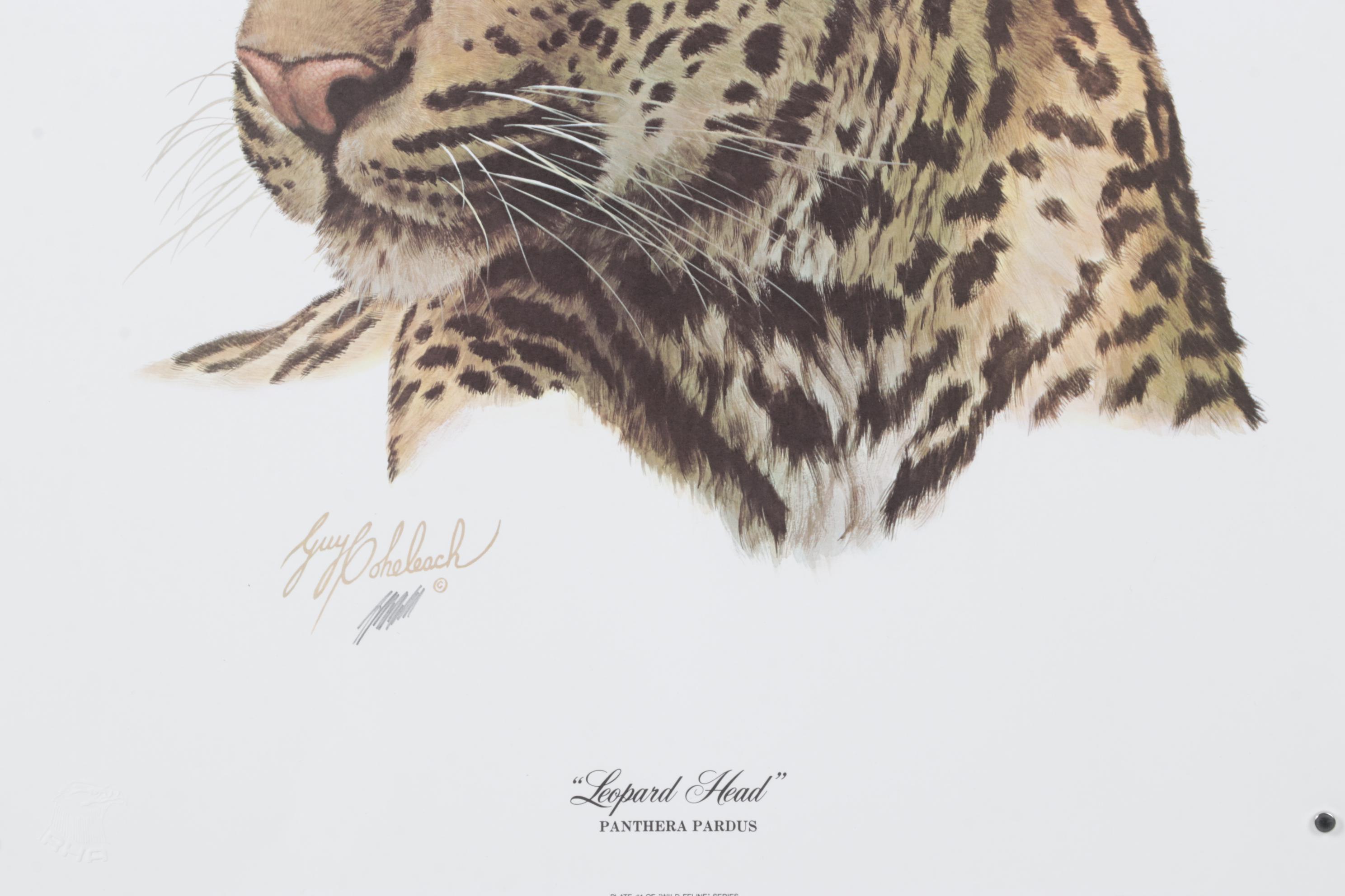 Guy Coheleach "Leopard Head" Offset Lithograph, 1973