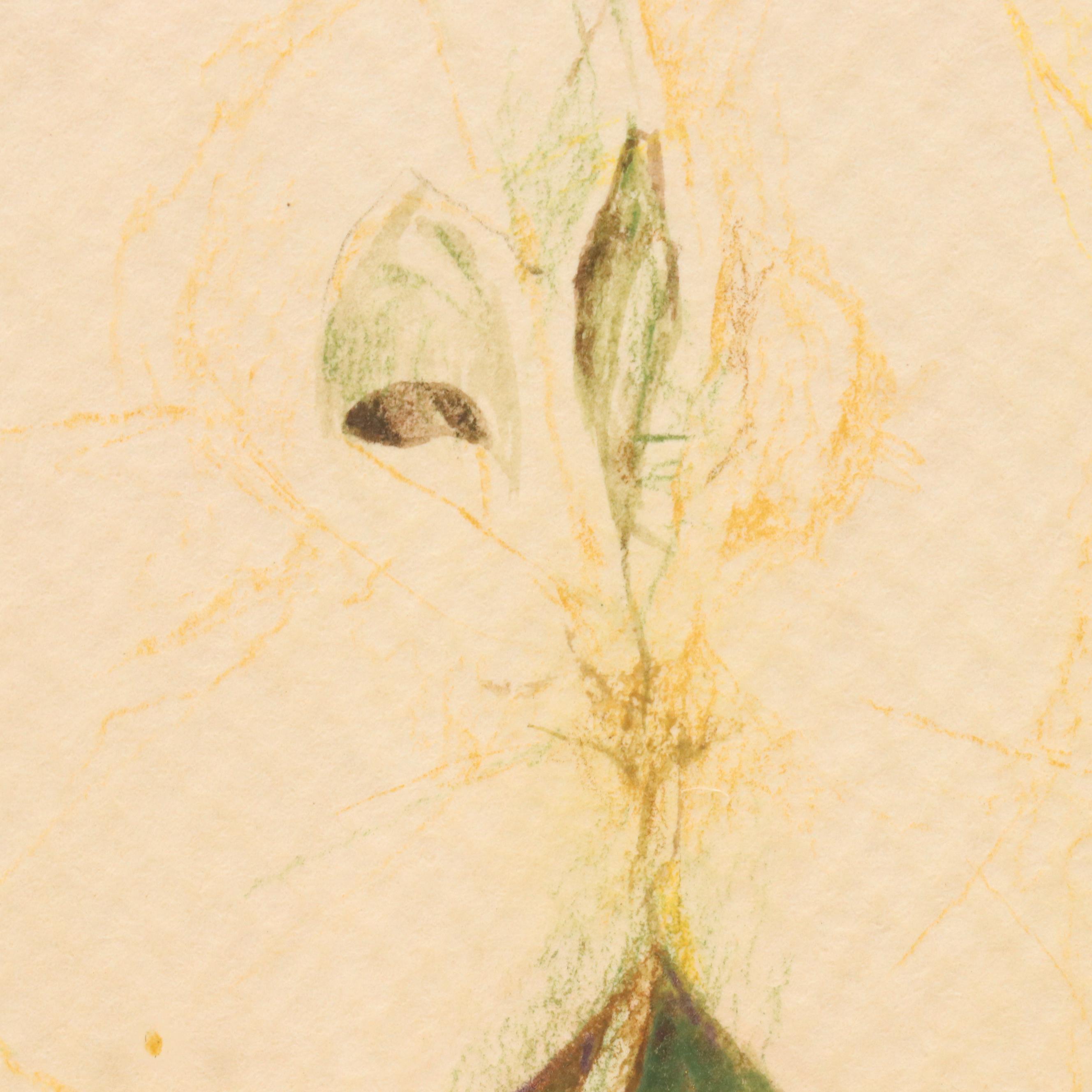 Pedro Cano Mixed Media Still Life "La Manzana Cortado," Late 20th C.