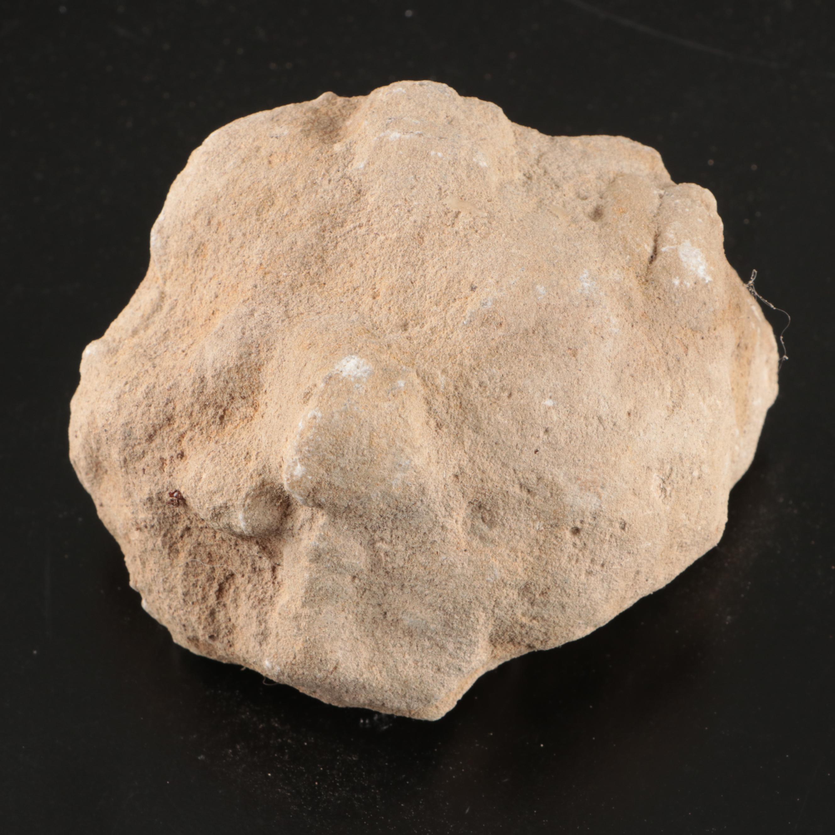 Amethyst, Selenite, Blue Calcite and Quartz Specimens