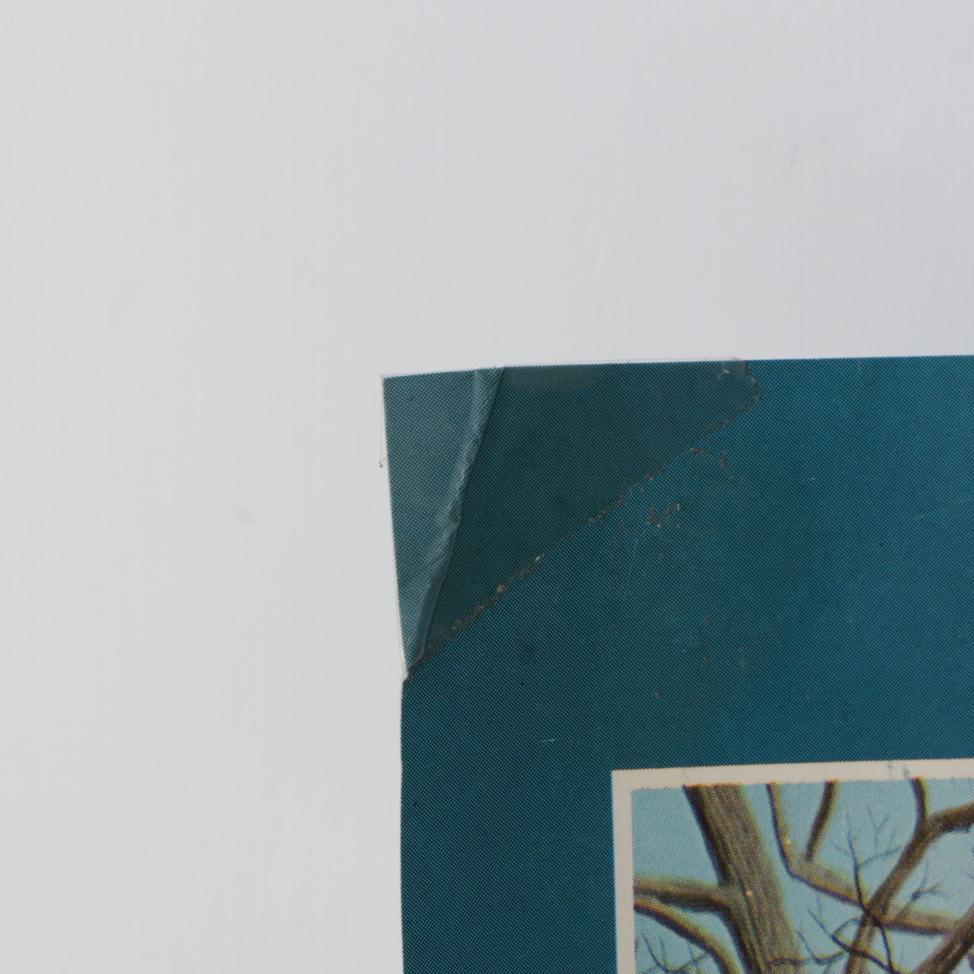 Offset Lithograph Poster After Dominique Appia "Entre les Trous de la Memoire"