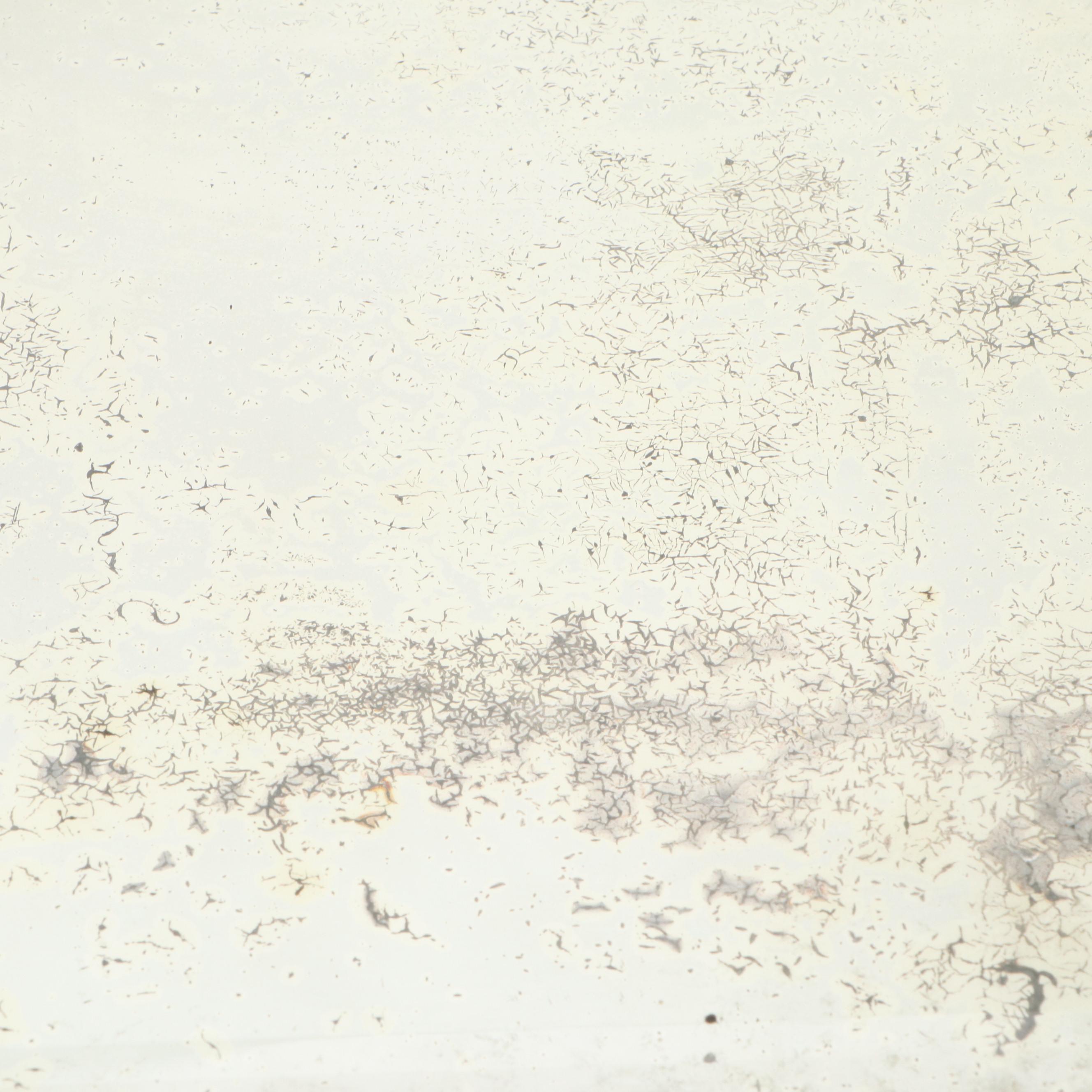 Dupont Art Deco Style Celluloid Vanity Kit with Mirror and Bottle