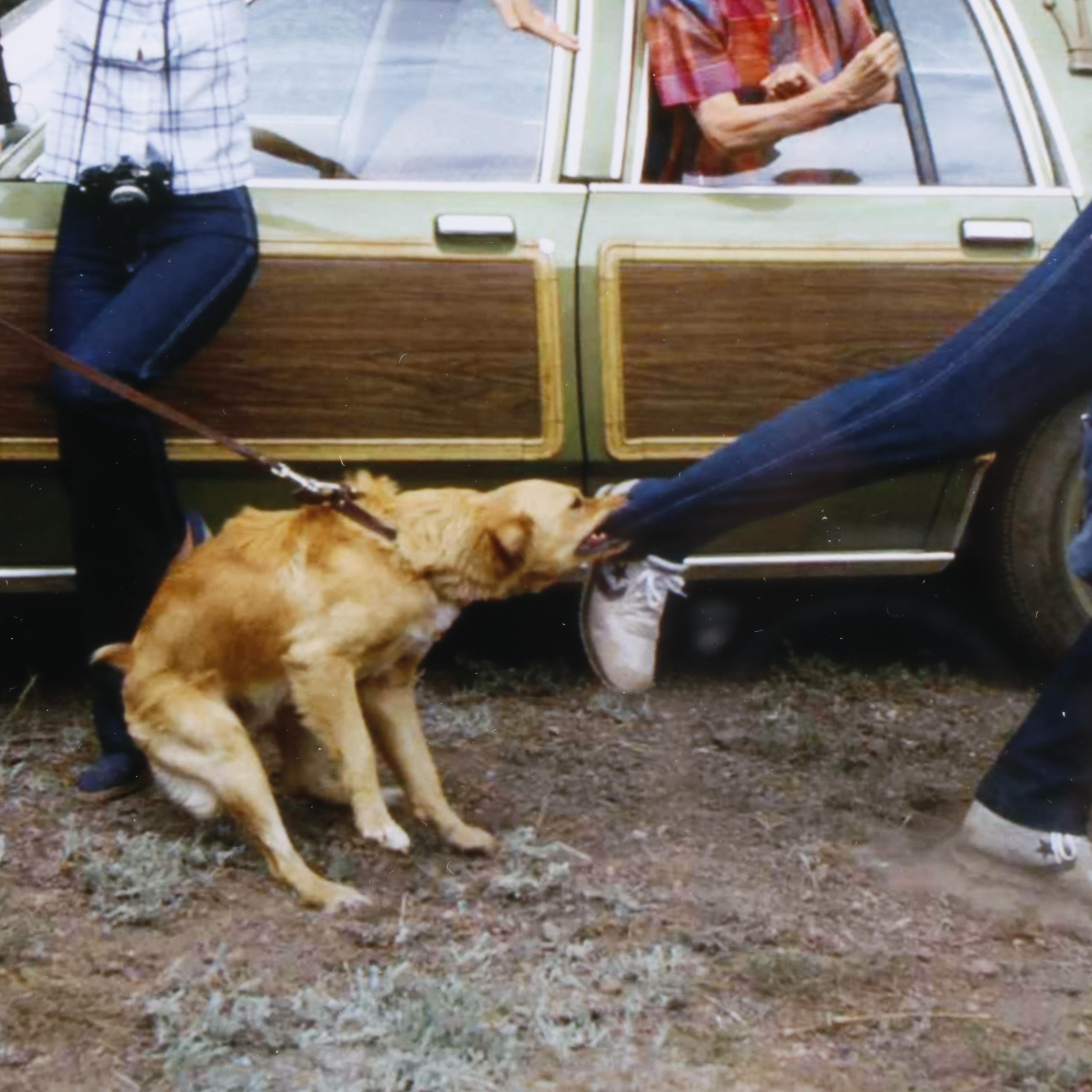 Chevy Chase Signed “National Lampoon’s Vacation” Framed Movie Print, Beckett