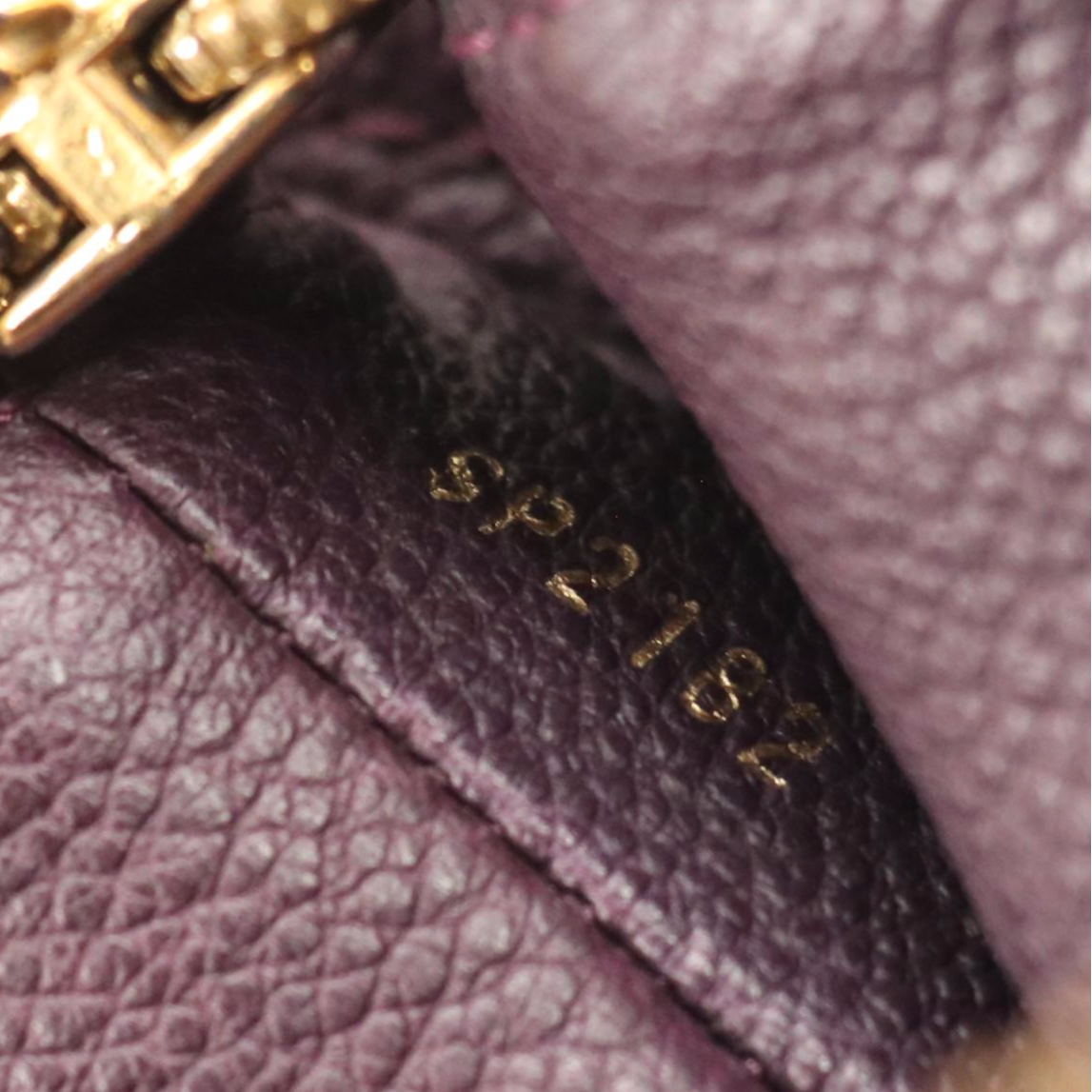 Louis Vuitton Audacieuse PM in Aube Monogram Empreinte Leather and Suede