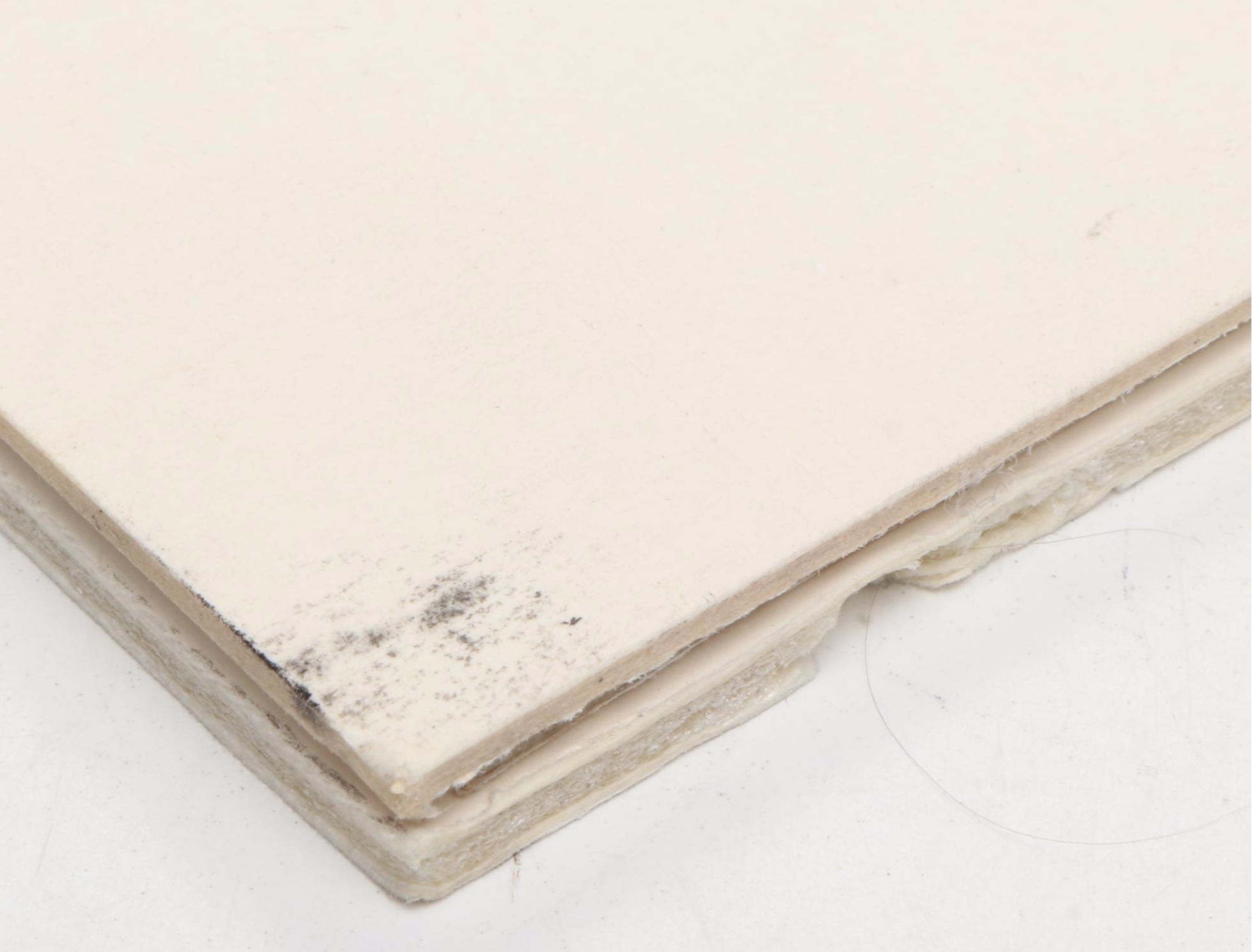 Ronnie Lott and Roger Craig Signed Photos with San Francisco 49ers 1989 Yearbook