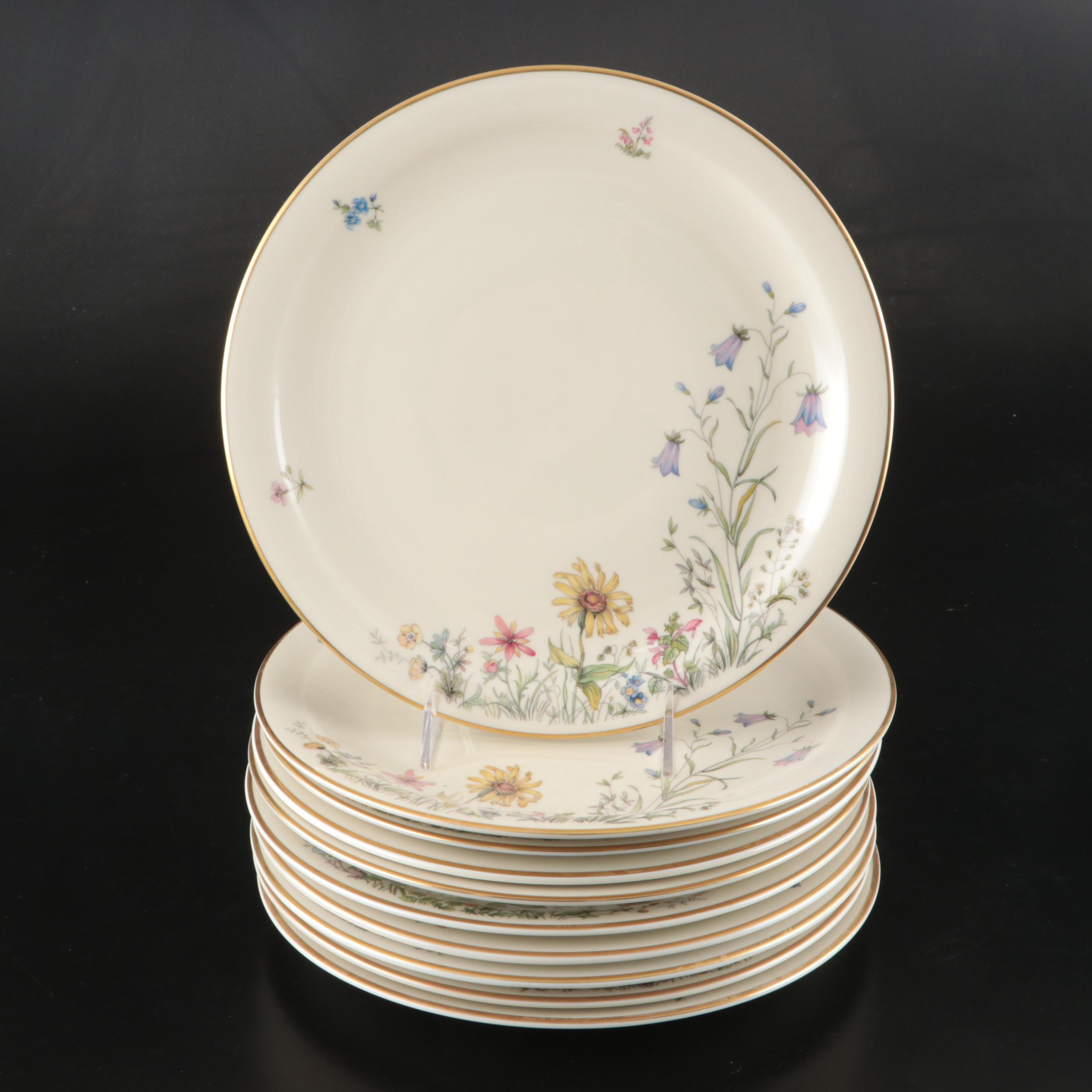 Franconia-Krautheim & Adelburg "Meadow Flowers" Ceramic Dinnerware