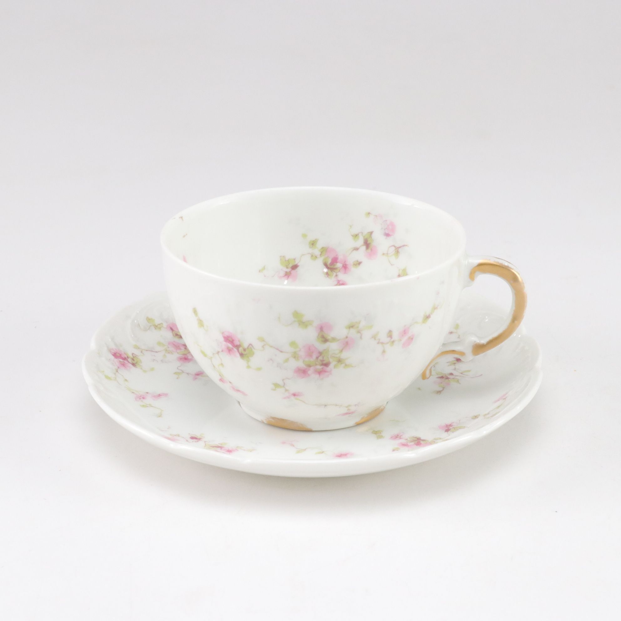 Theodore Haviland Porcelain Dinner Service for Siz