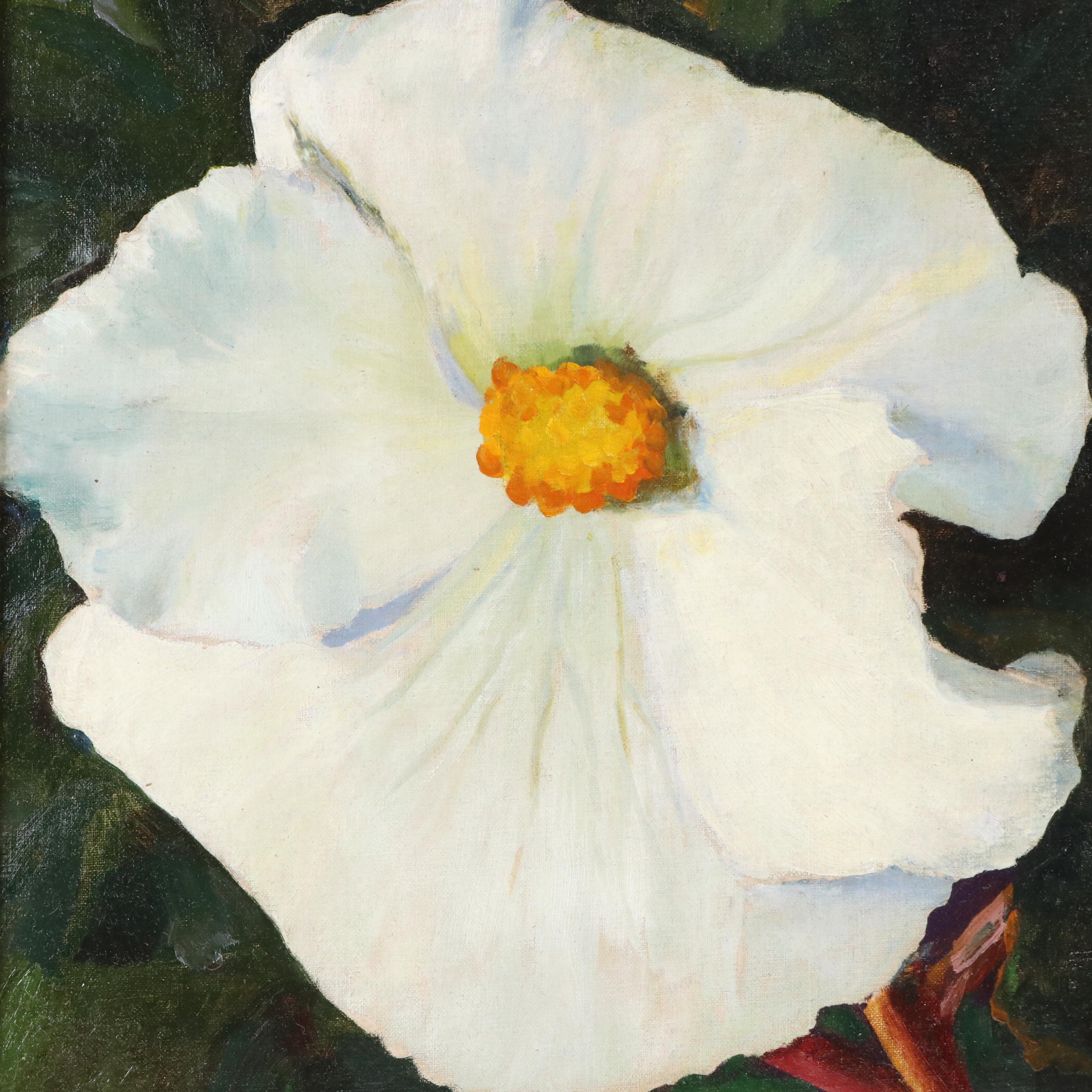 Floral Oil Painting Depicting Matilija Poppy