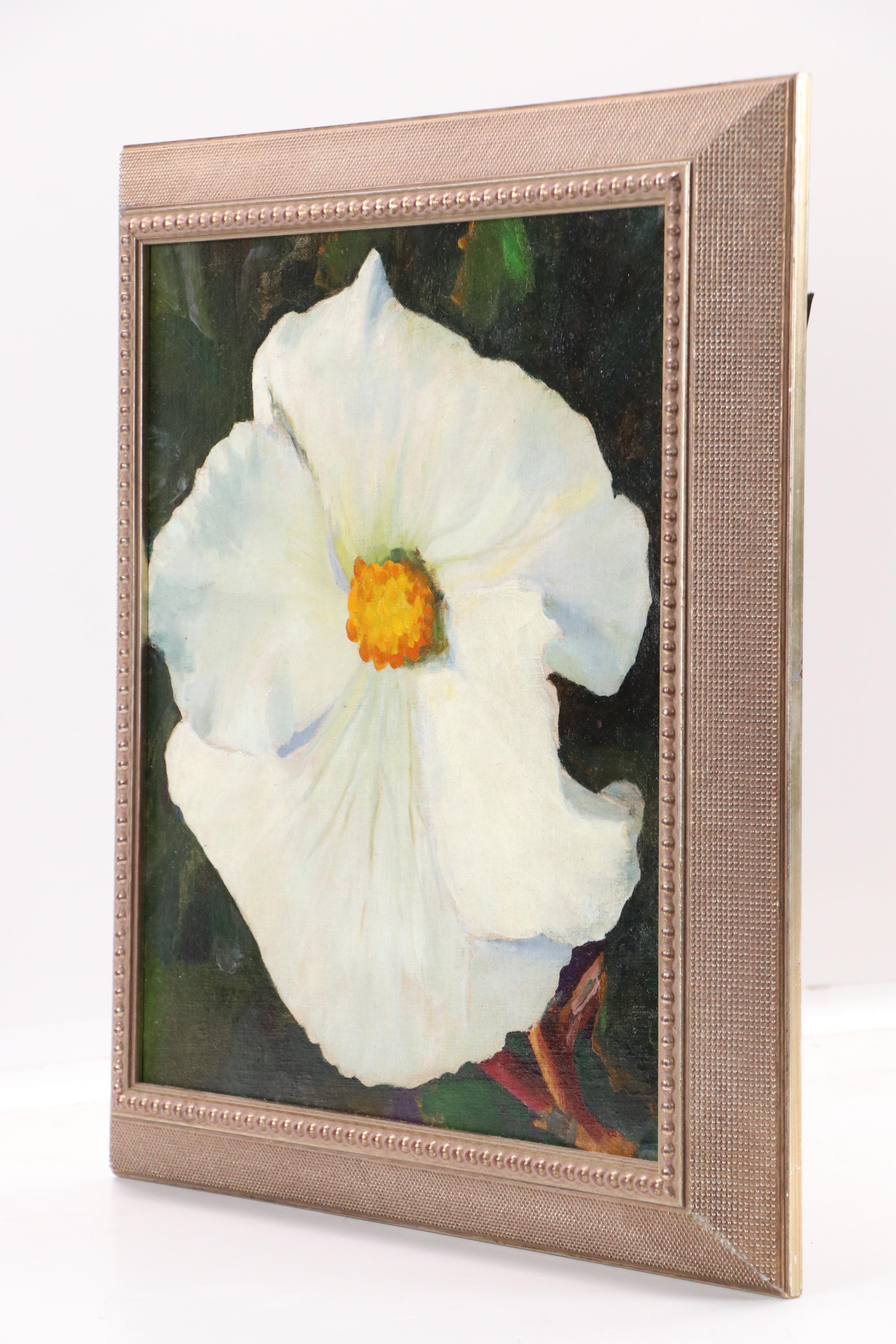 Floral Oil Painting Depicting Matilija Poppy