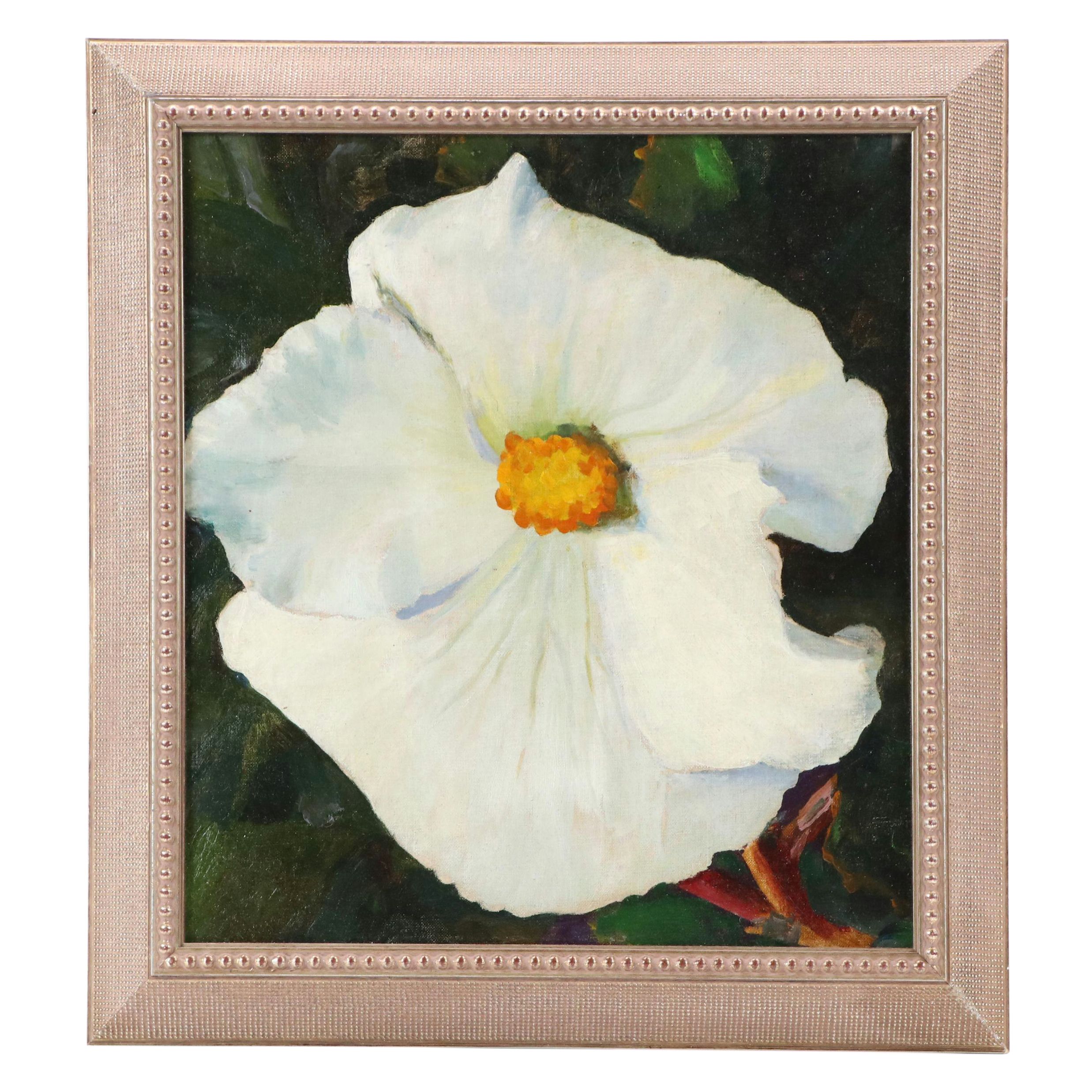Floral Oil Painting Depicting Matilija Poppy
