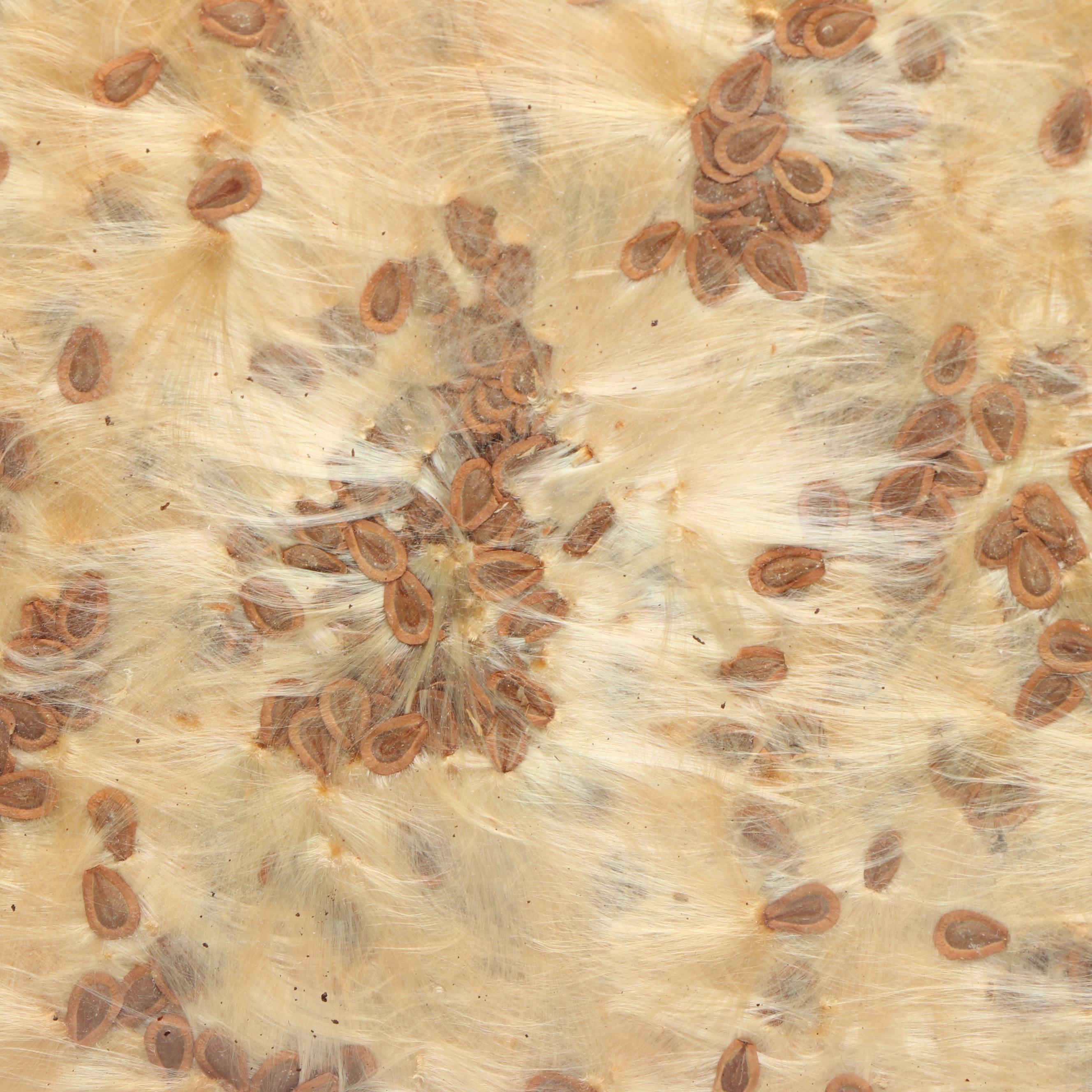 Wire Tree Shaped Votive Holder with Other Candle Holders and Decor