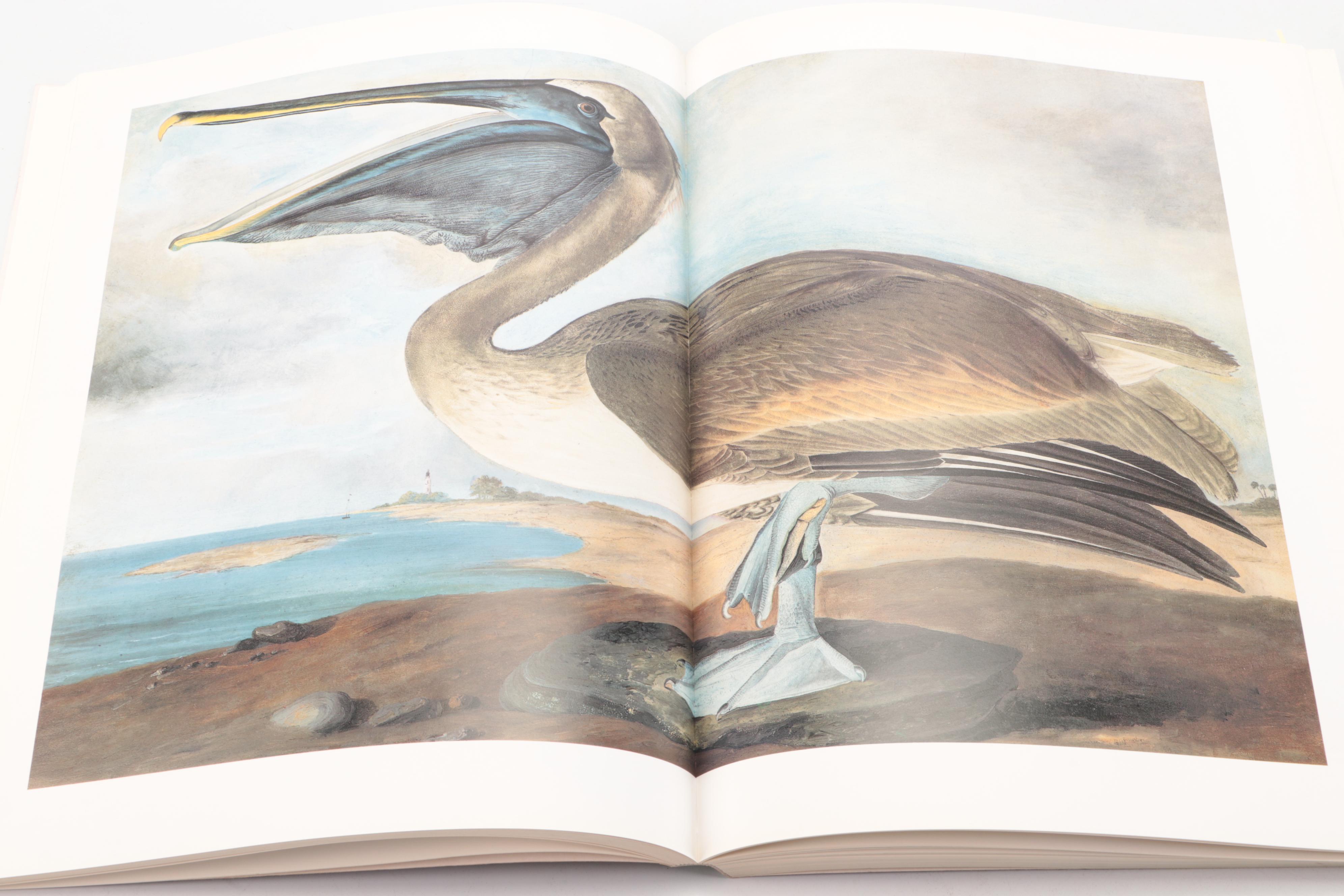First Printing "John James Audubon: The Watercolors for The Birds of America"