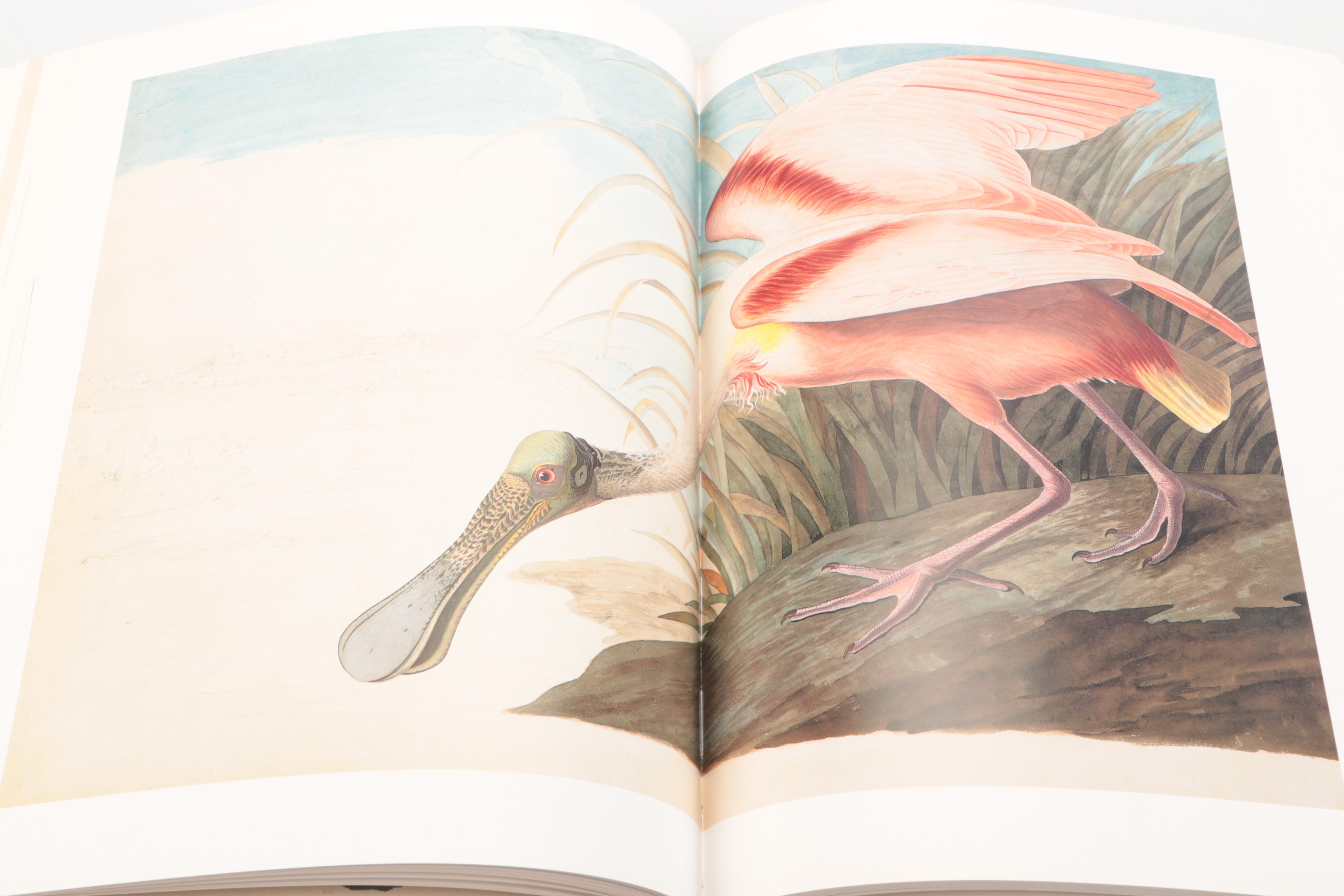 First Printing "John James Audubon: The Watercolors for The Birds of America"