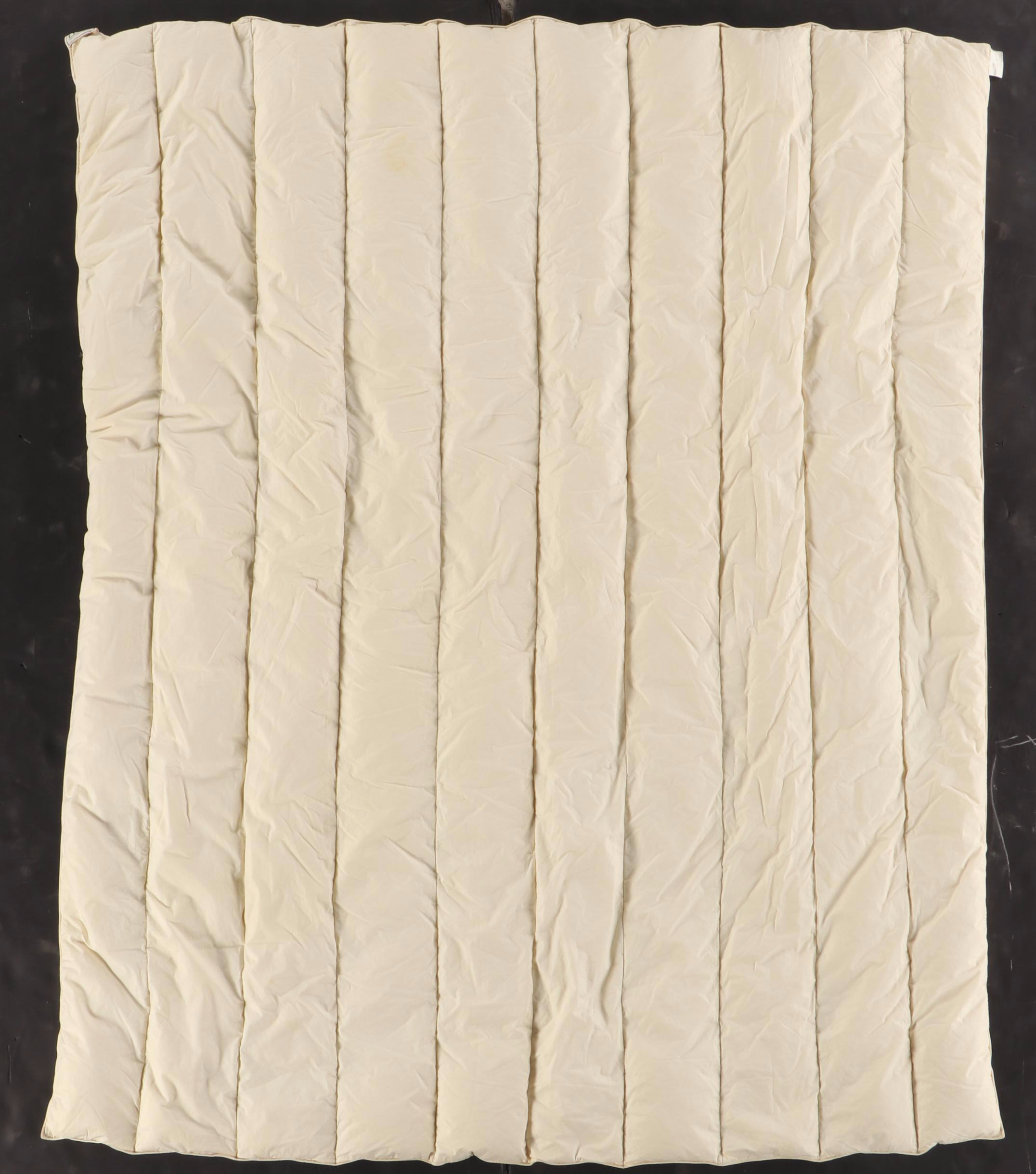 K&S for L.L. Bean Down Stuffed Duvet with Storage Bag