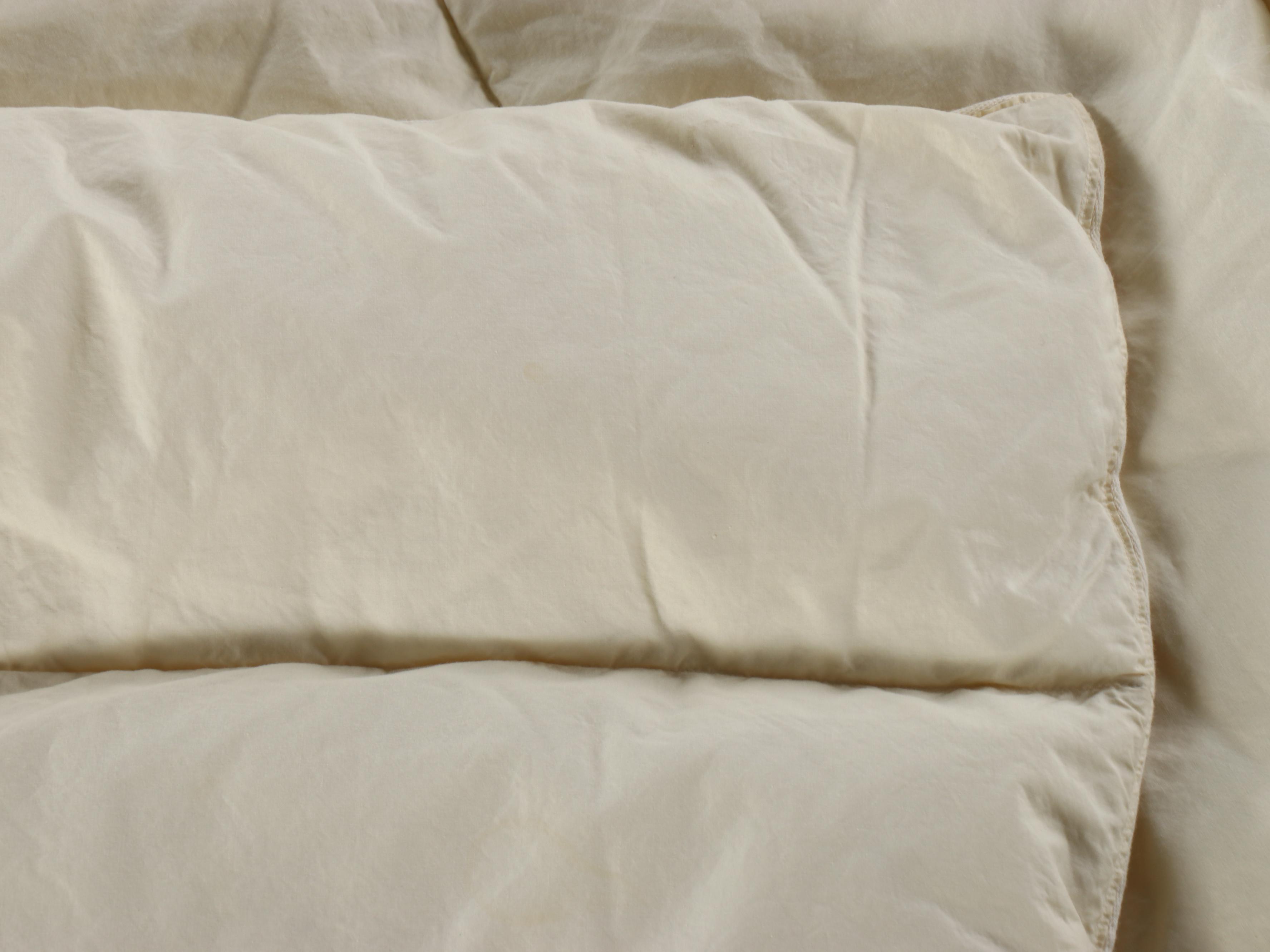 K&S for L.L. Bean Down Stuffed Duvet with Storage Bag