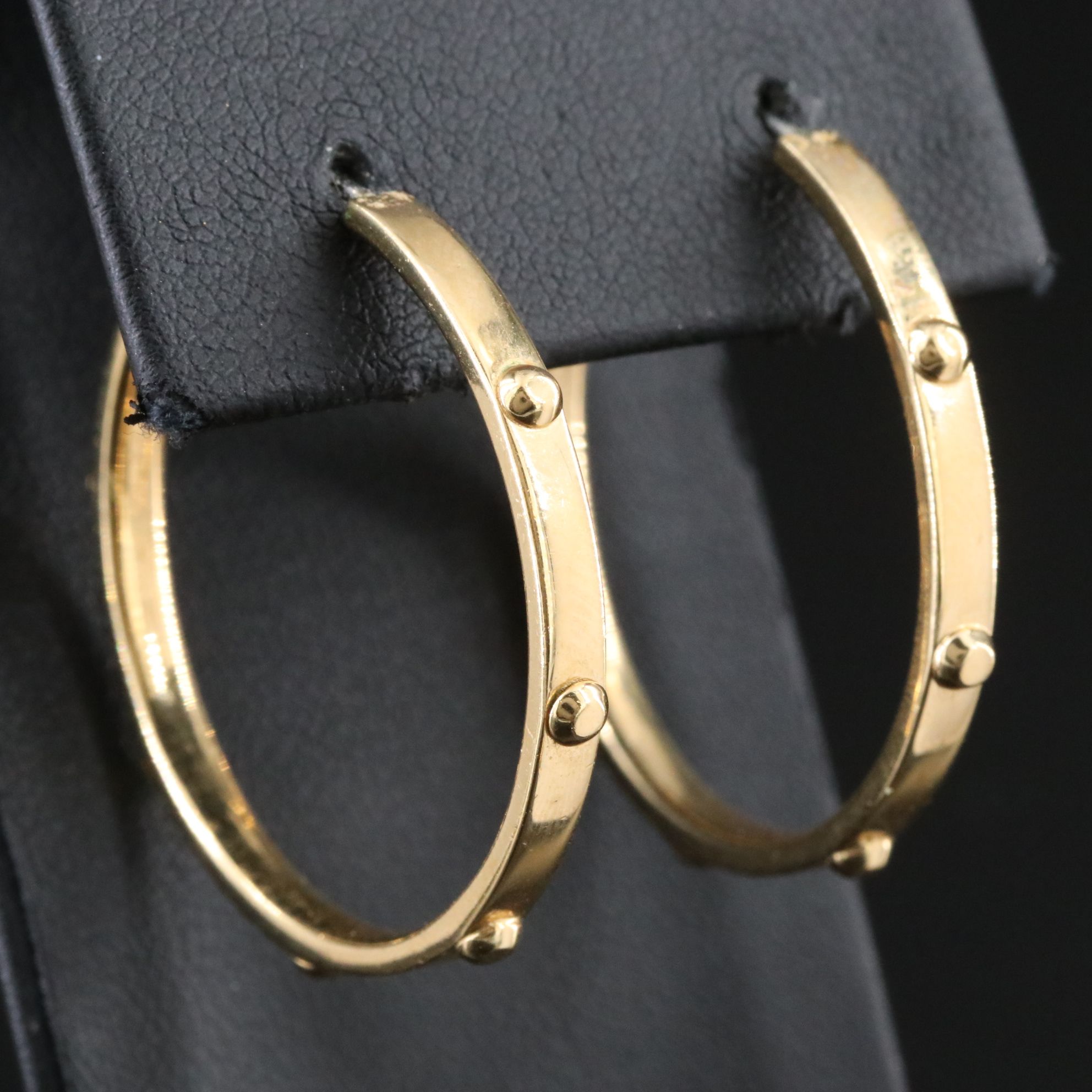 Michael Kors Studded Hoop Earrings