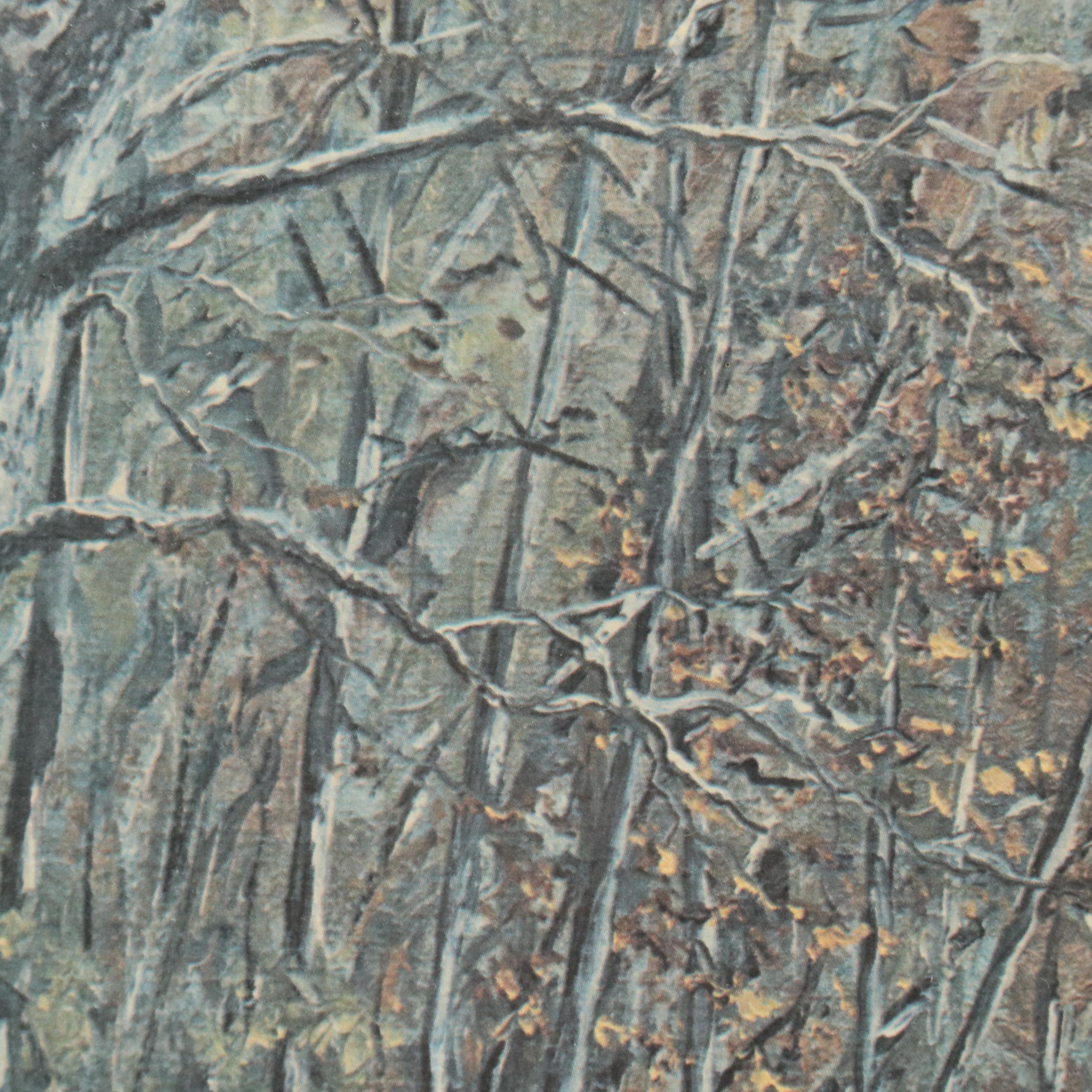 Al Cornett Offset Lithograph "Red River Gorge," 1973