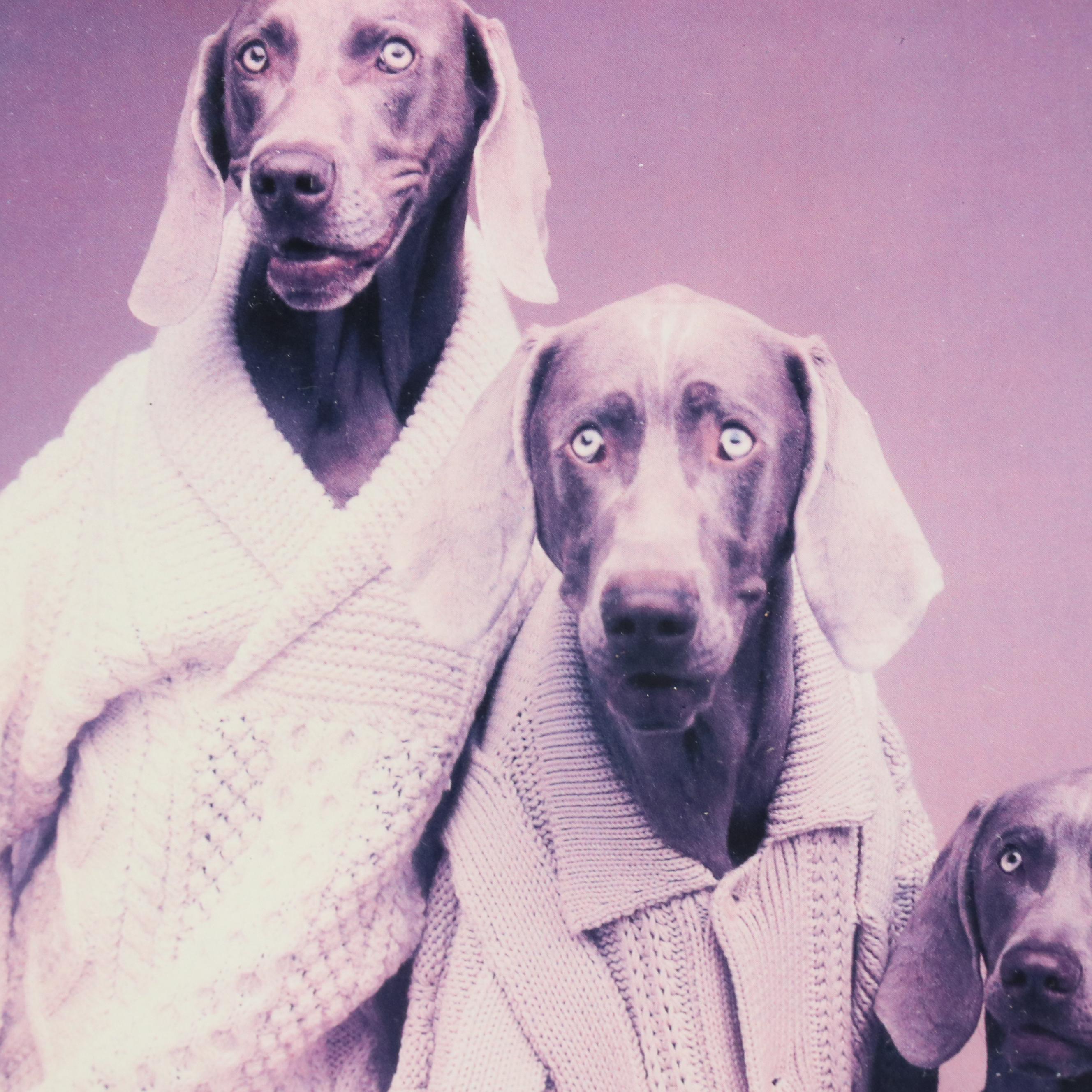 Offset Lithographs After W. Wegman "Fashion Trio" and Other Weimaraner Prints