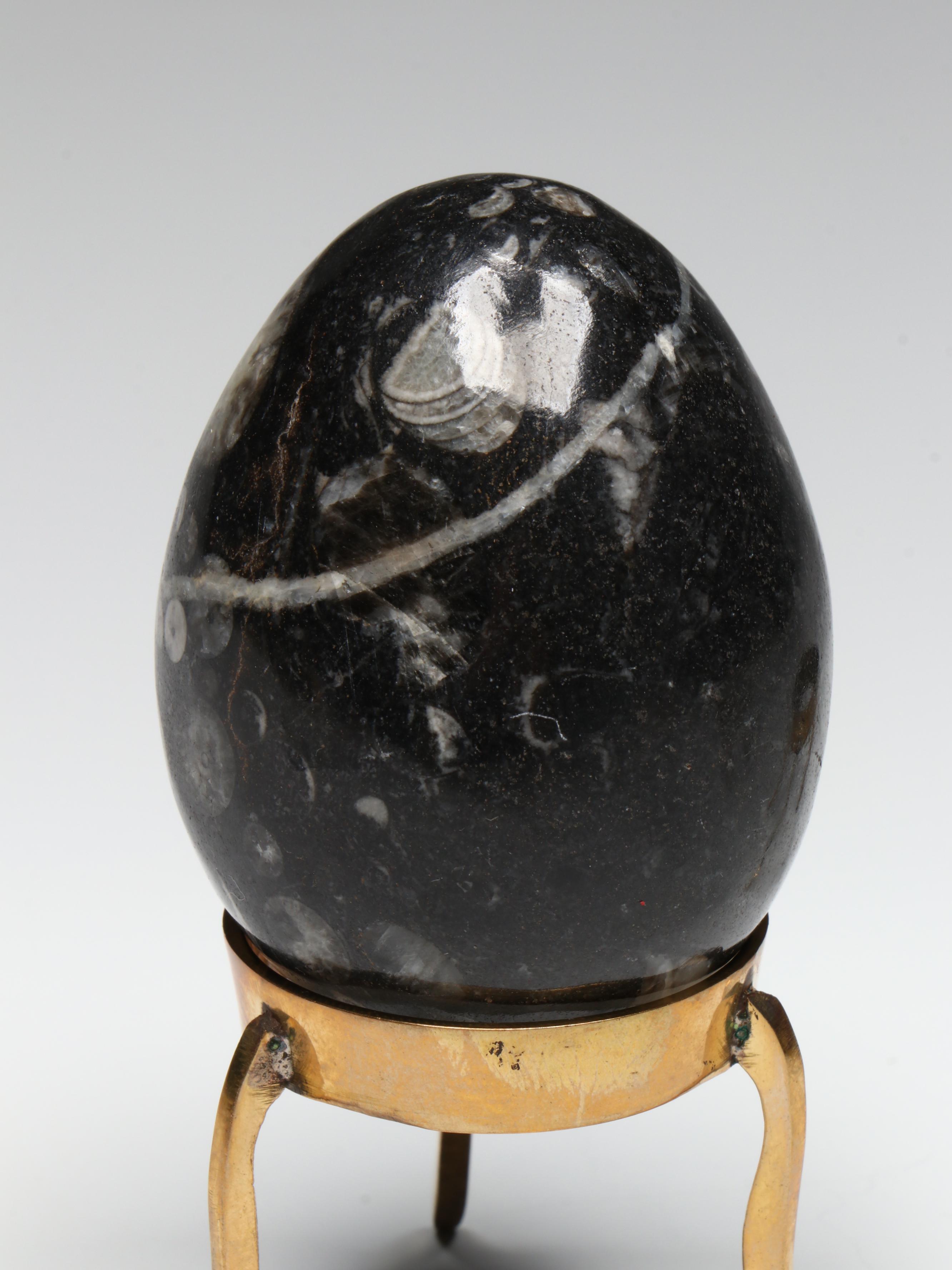 Carved Stone Egg Collection Featuring Malachite and Tiger's Eye