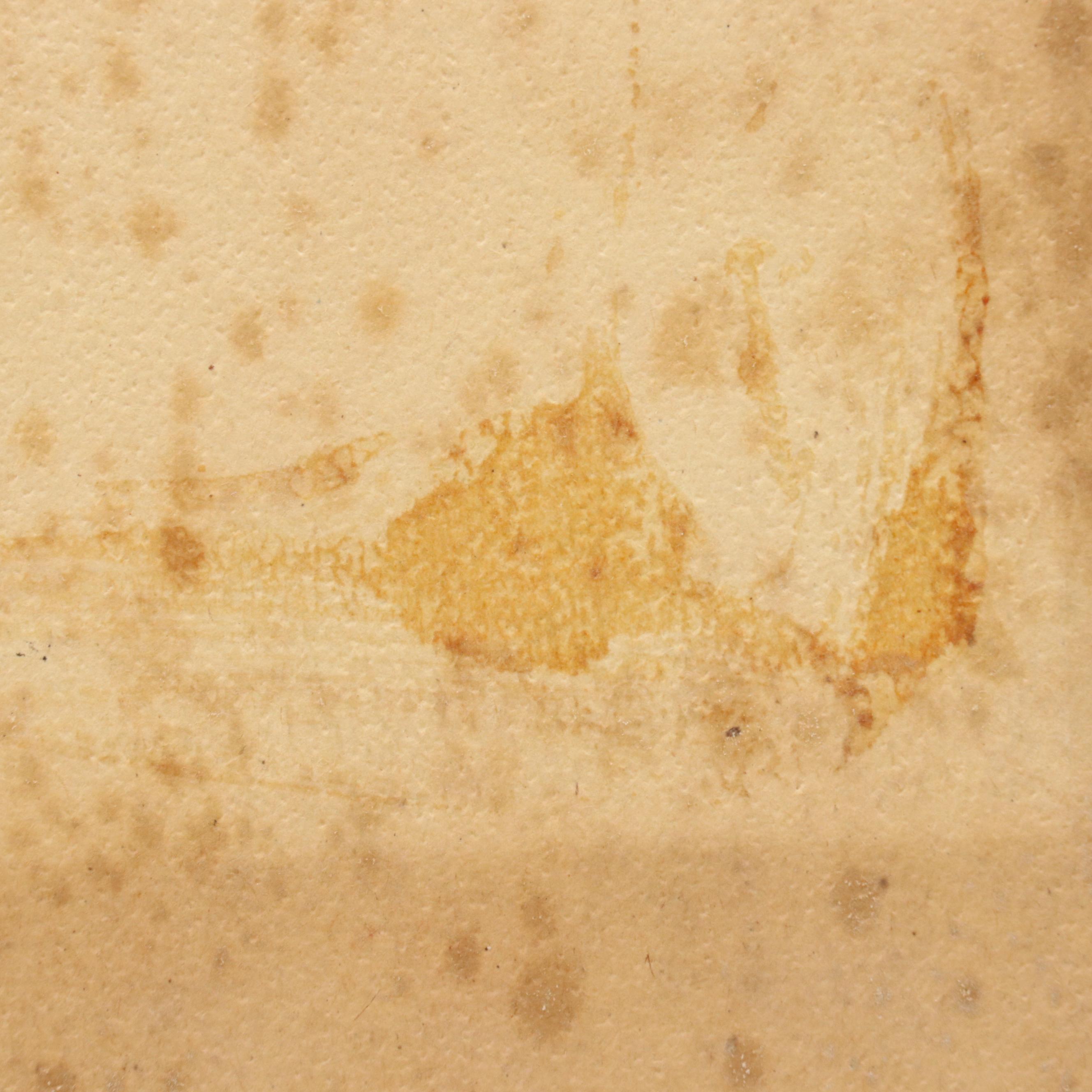 Marilyn Cramer Modern Still Life Oil Painting, Mid-Late 20th Century