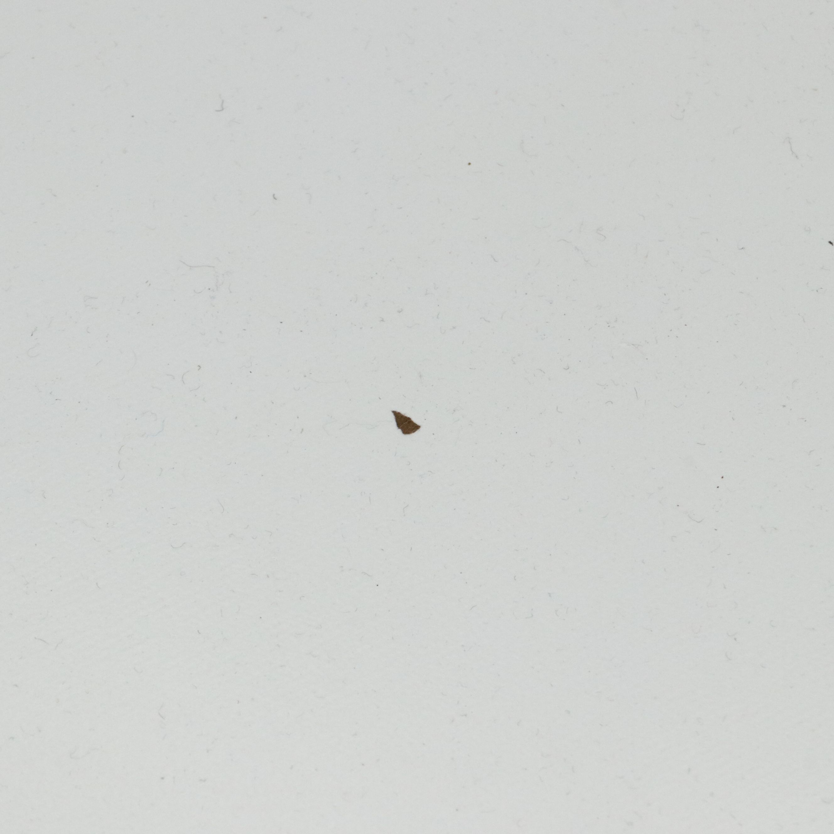 White Painted Wood Two-Drawer Nightstand