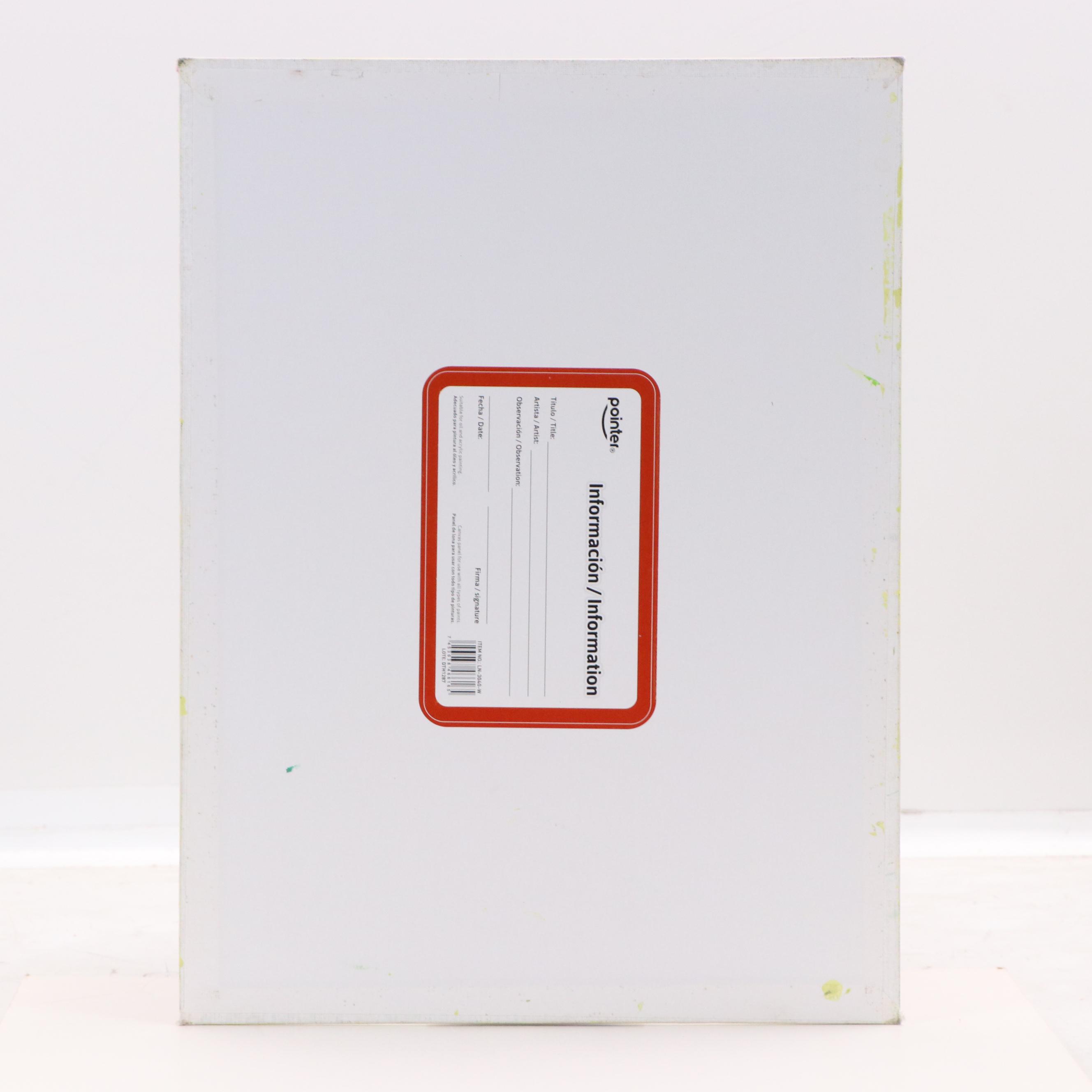 Ricardo Maya Stylized Acrylic Painting of a Toucan, 21st Century