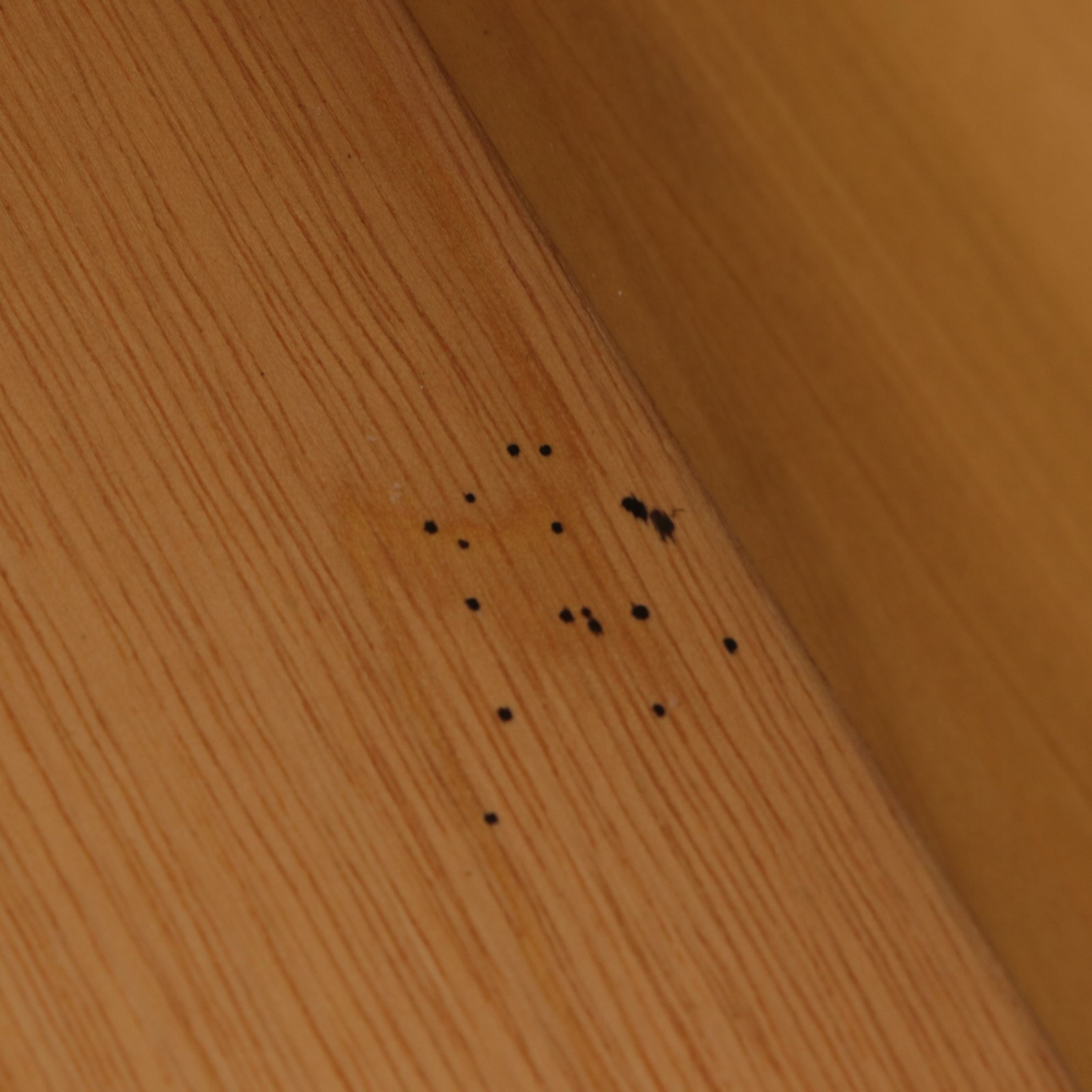 Oak Side-by-Side Cabinet, Late 20th Century