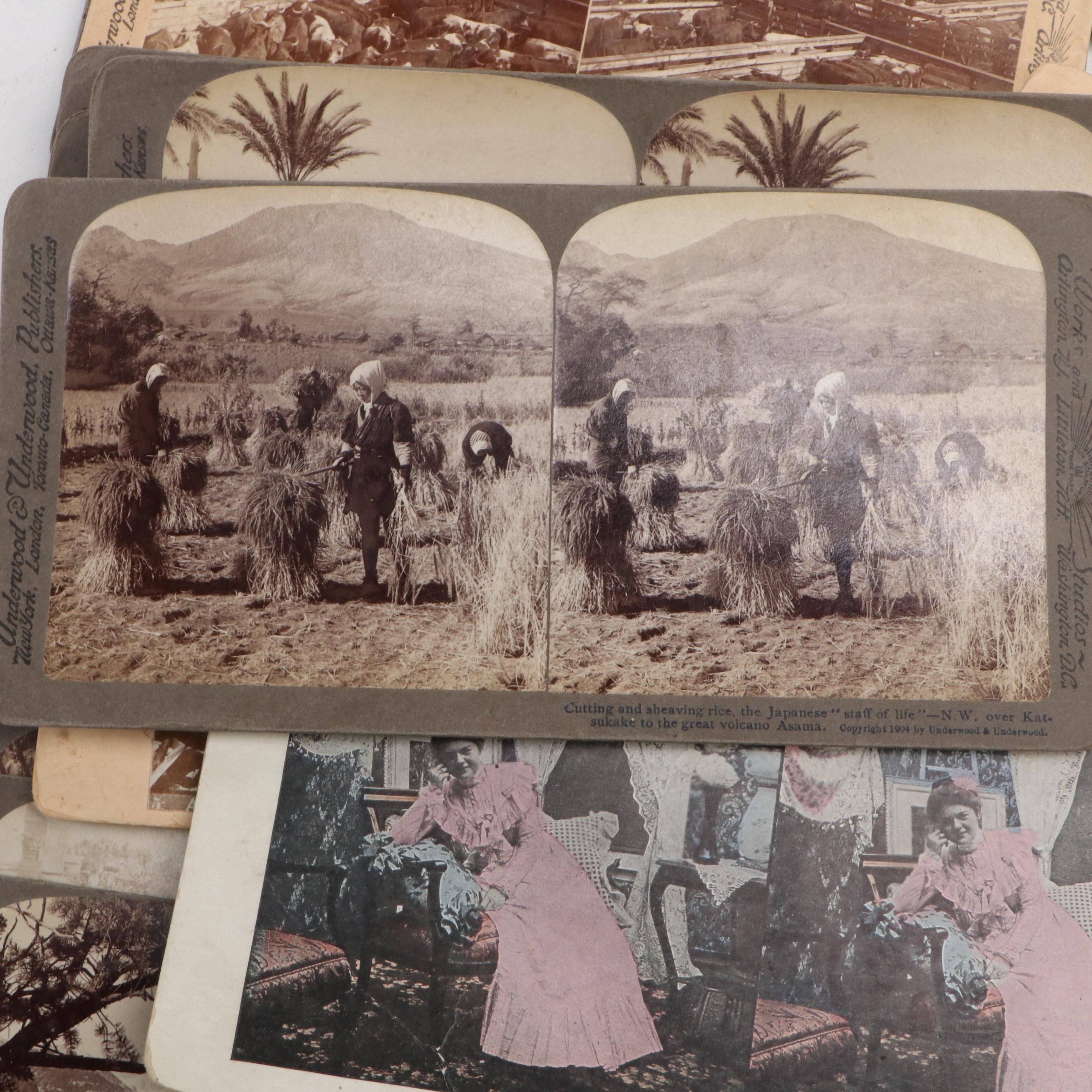 Sun Sculpture and Other Stereoscope View Cards, Late 19th to Early 20th Century