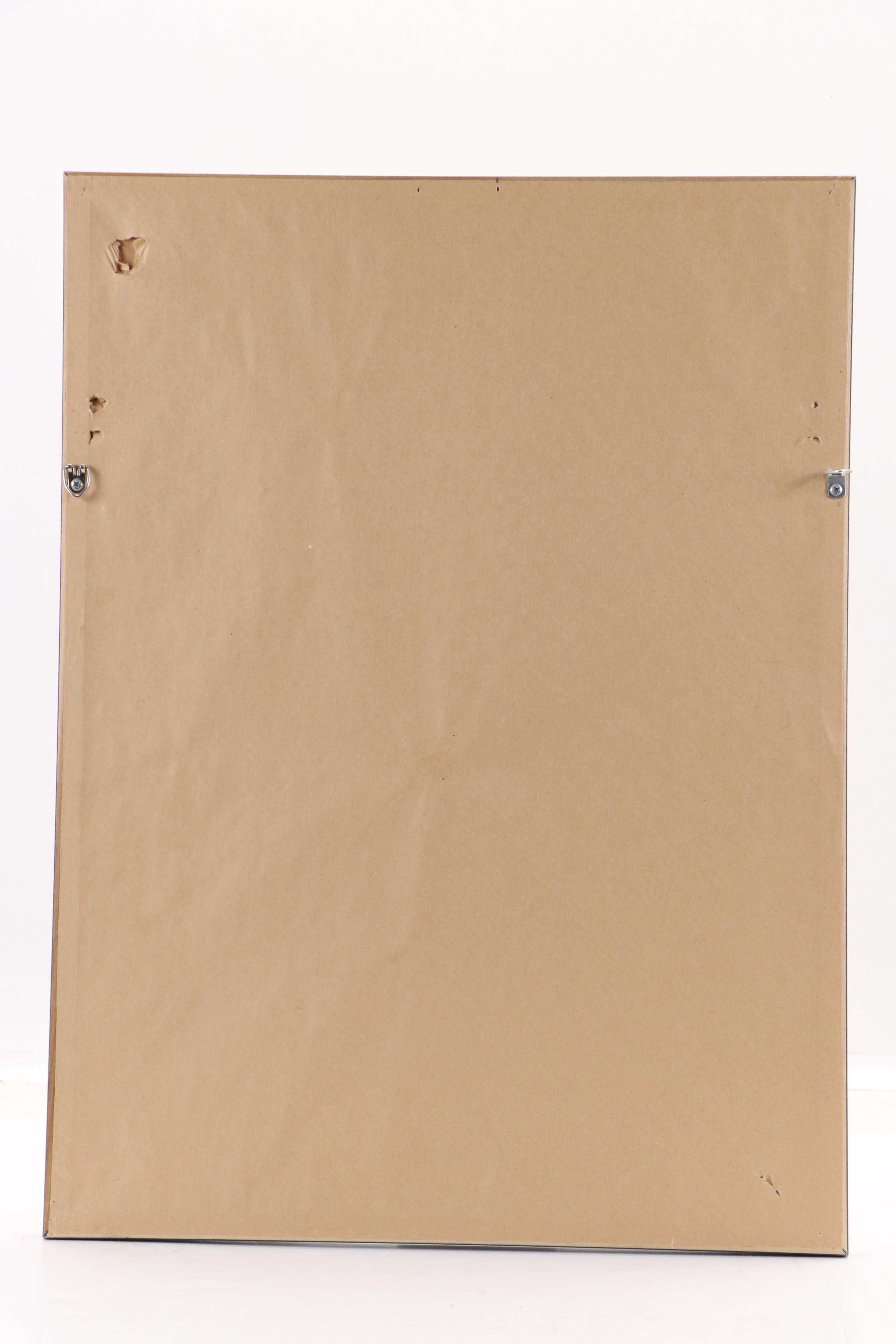 Britta Peterson German Herbarium Specimen of Field Bugloss, 1935