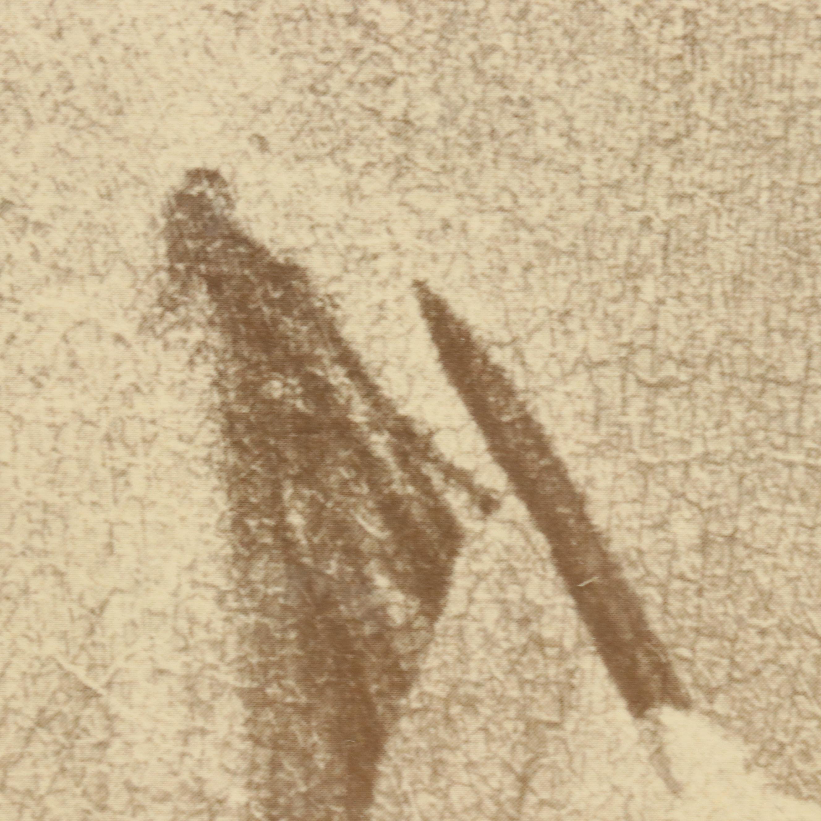 Halftone of Bathing Scene After Rolland Hendrickson, Circa 1960