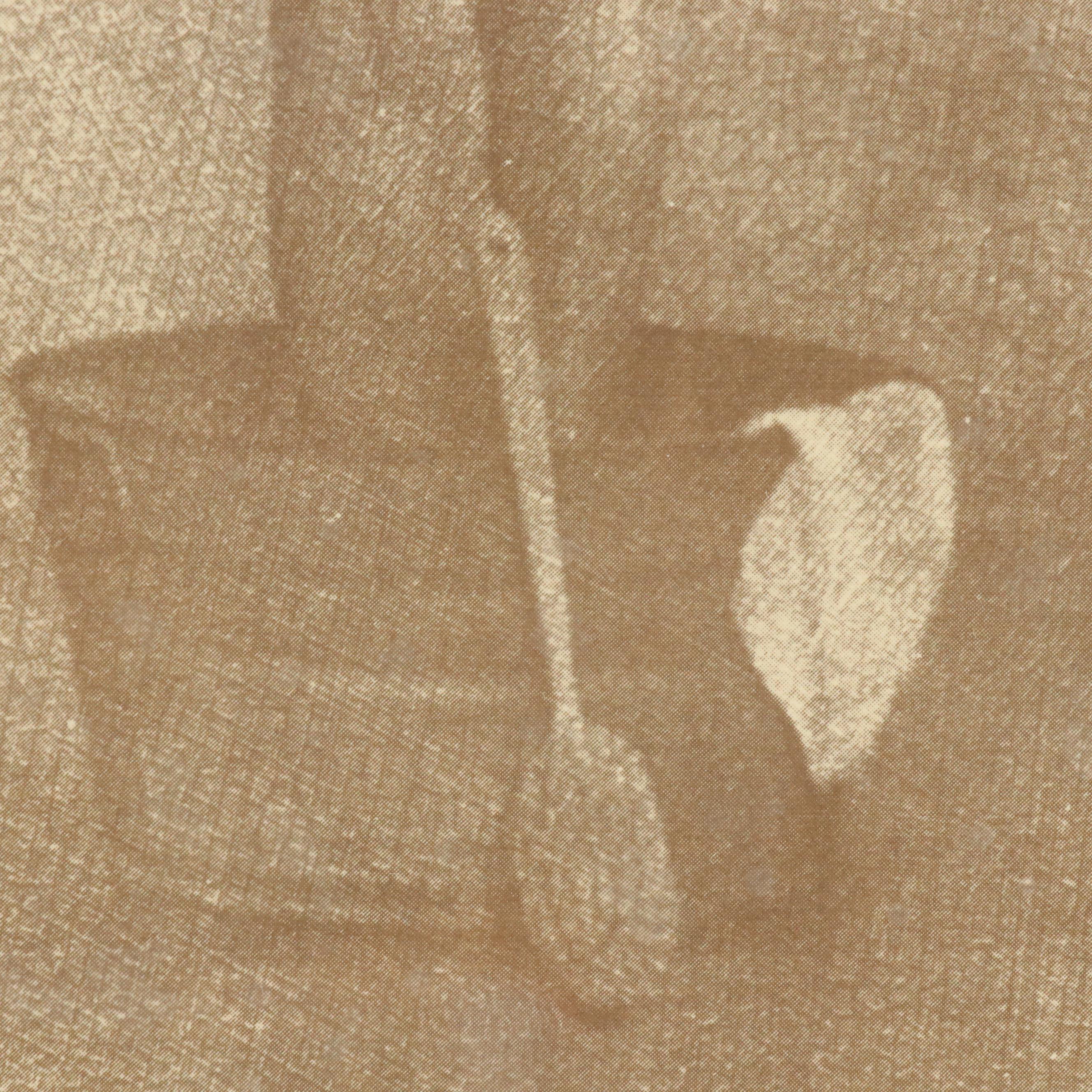 Halftone of Bathing Scene After Rolland Hendrickson, Circa 1960