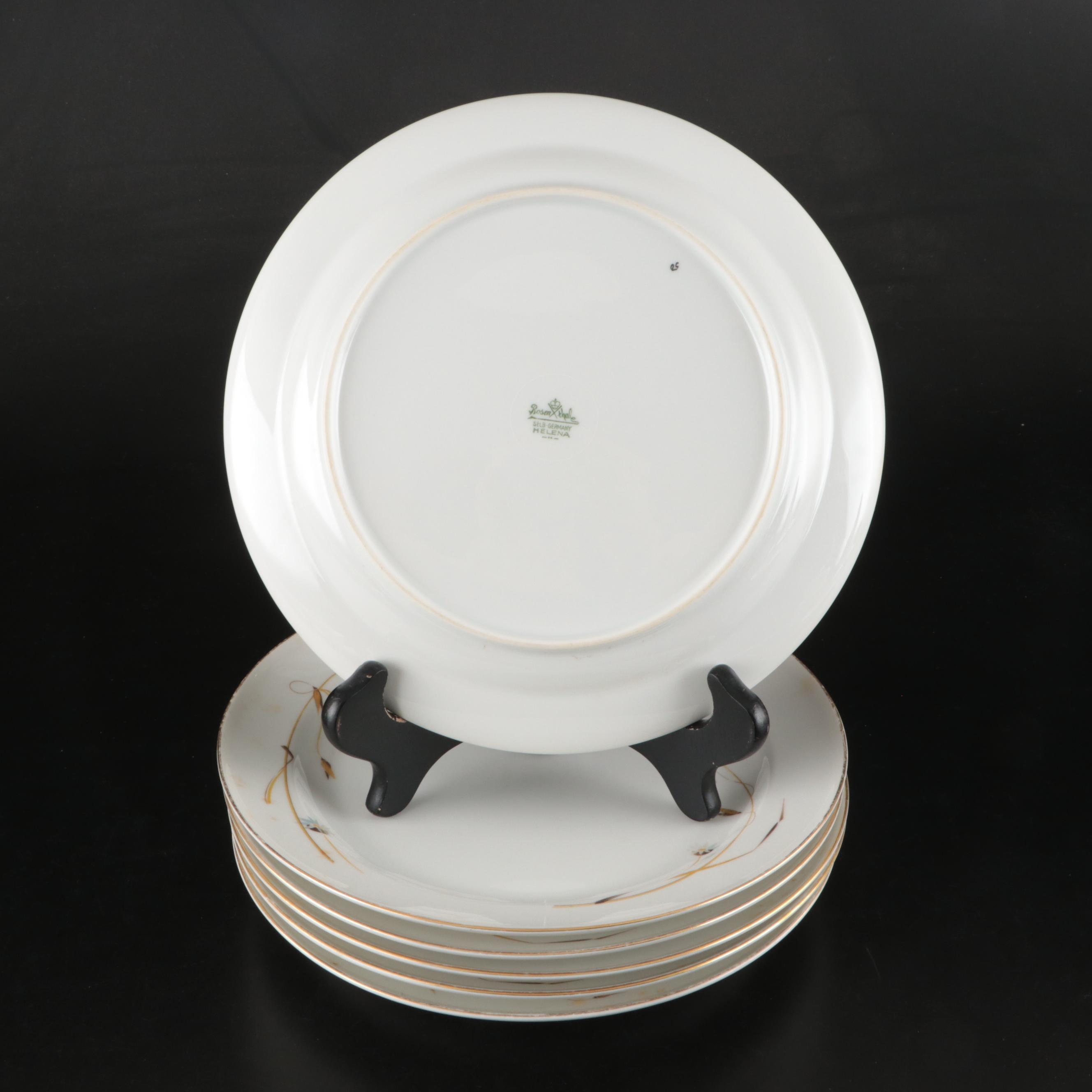Rosenthal-Continental "Helena" White Wildflower Ceramic Dinnerware