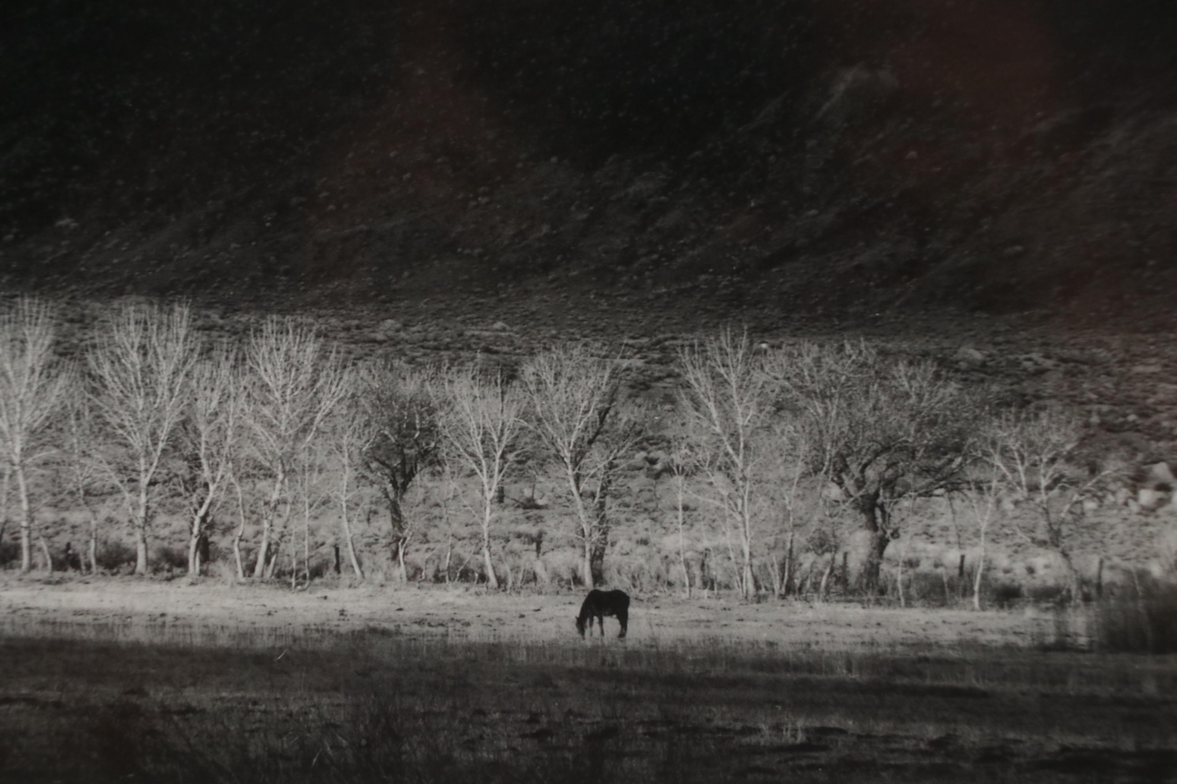 Offset Lithograph After Ansel Adams "Winter Sunrise, Sierra Nevada," 1993