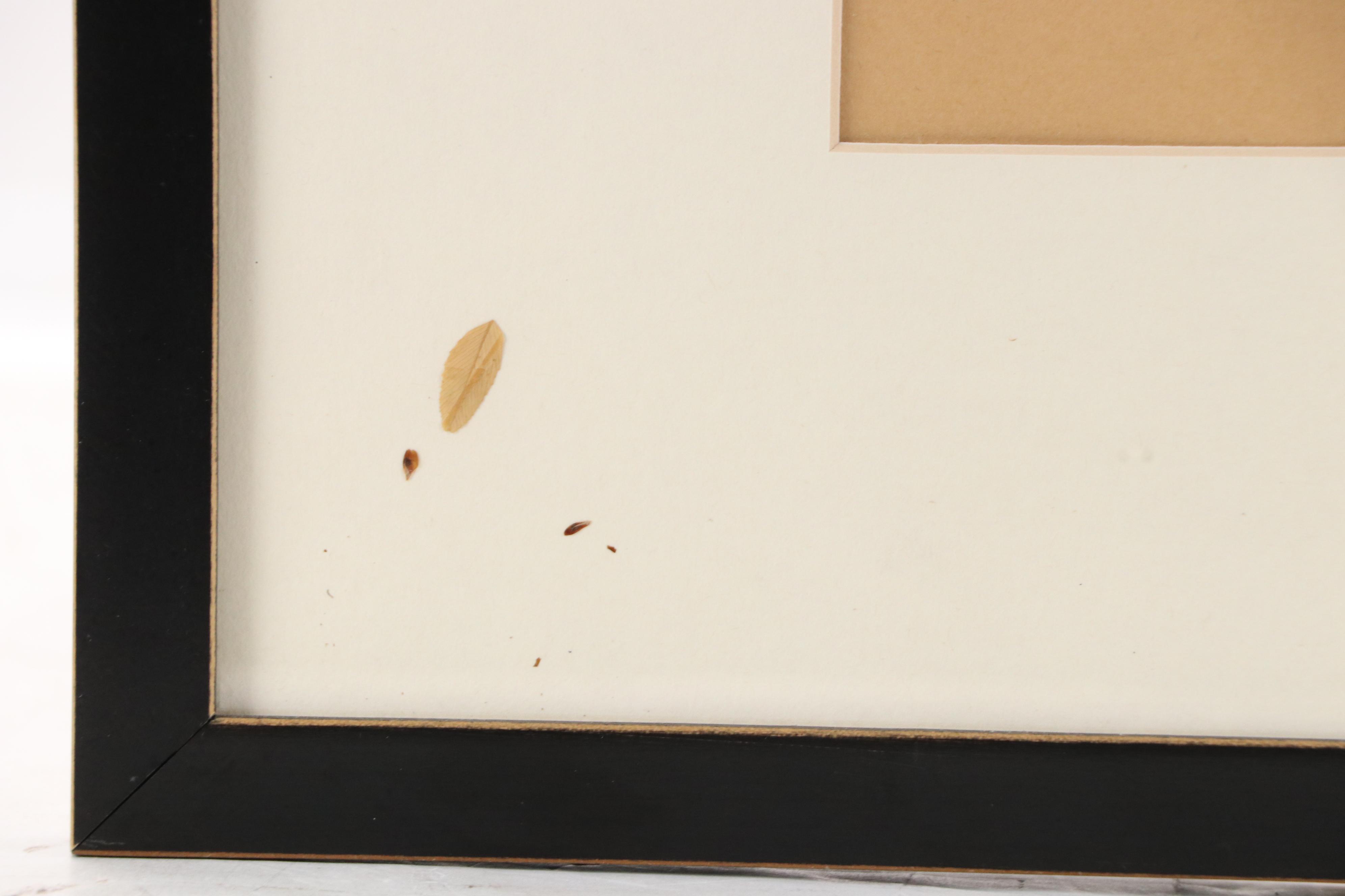 Ruth Inusten German Herbarium Specimen of  Hop Clover, 1921