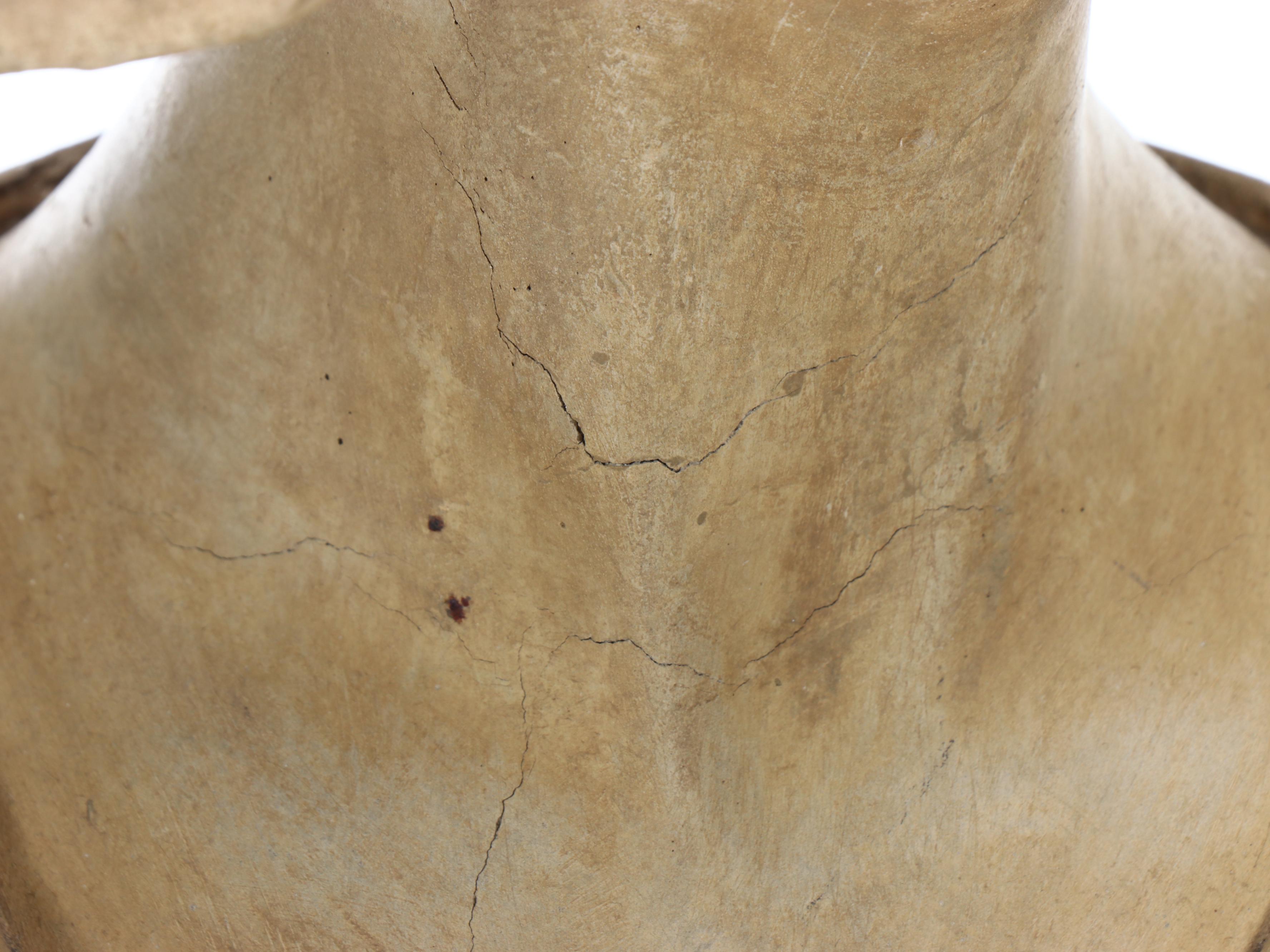 Brookfield Co. Bust with Chalkware Pedestal