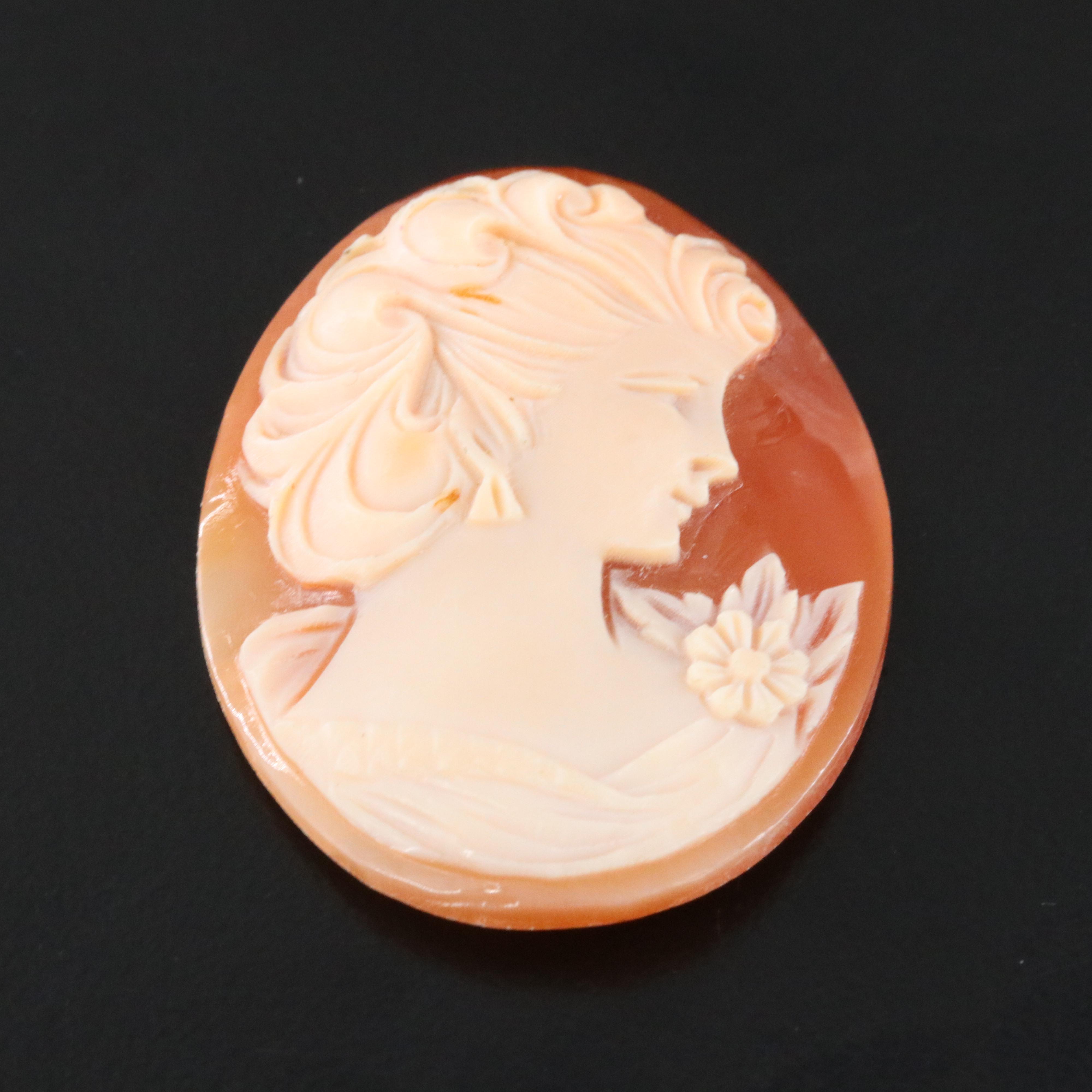Loose Shell Cameo