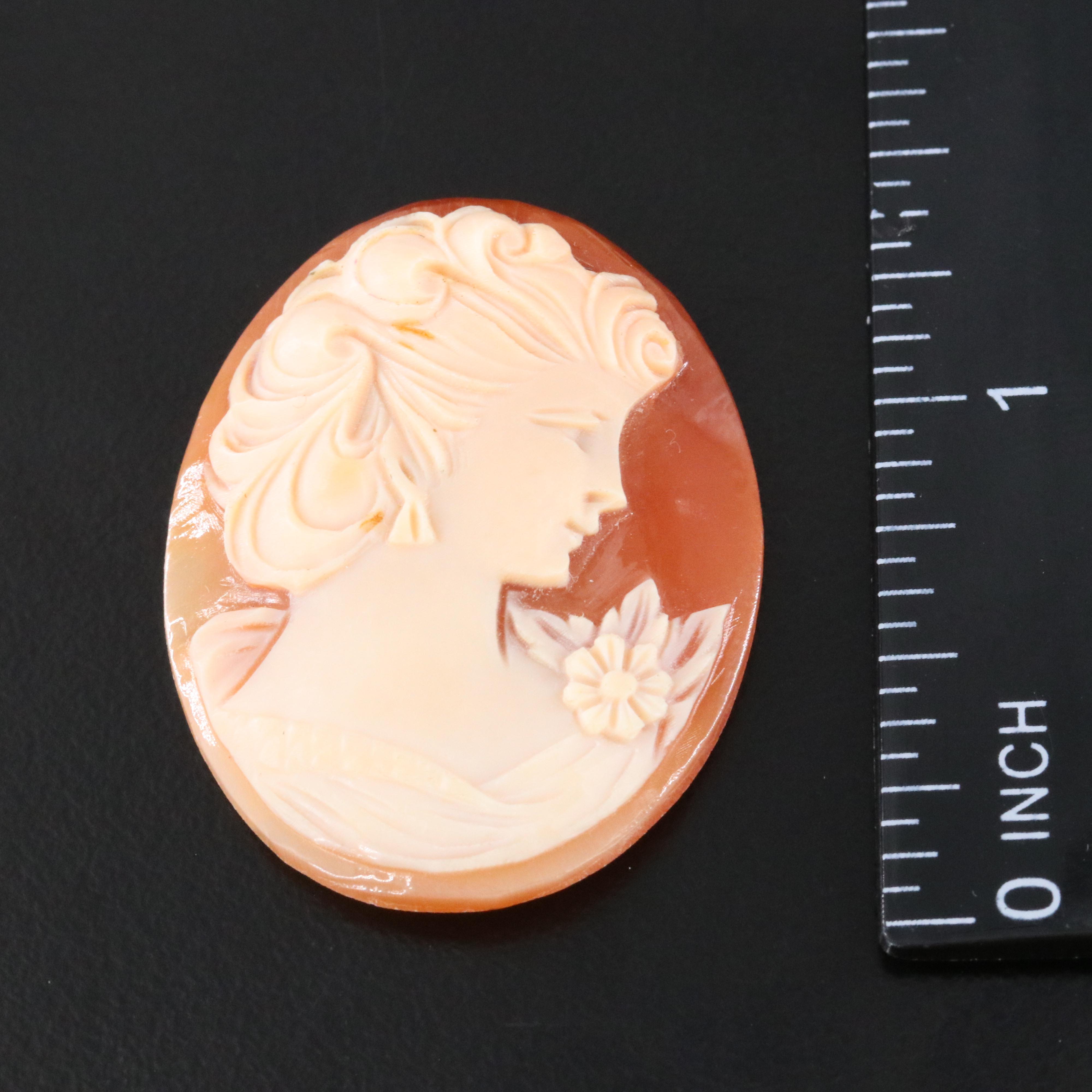 Loose Shell Cameo