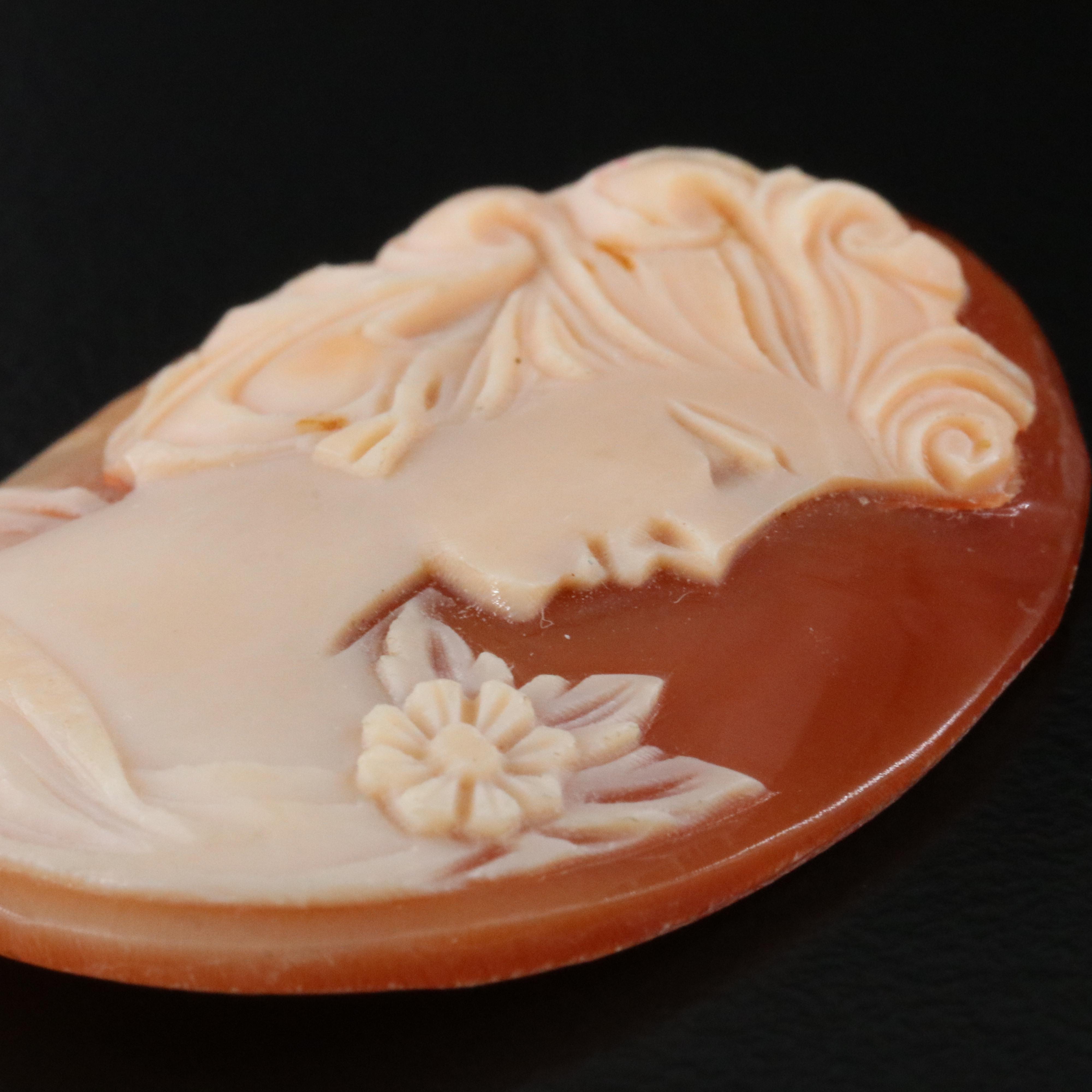 Loose Shell Cameo
