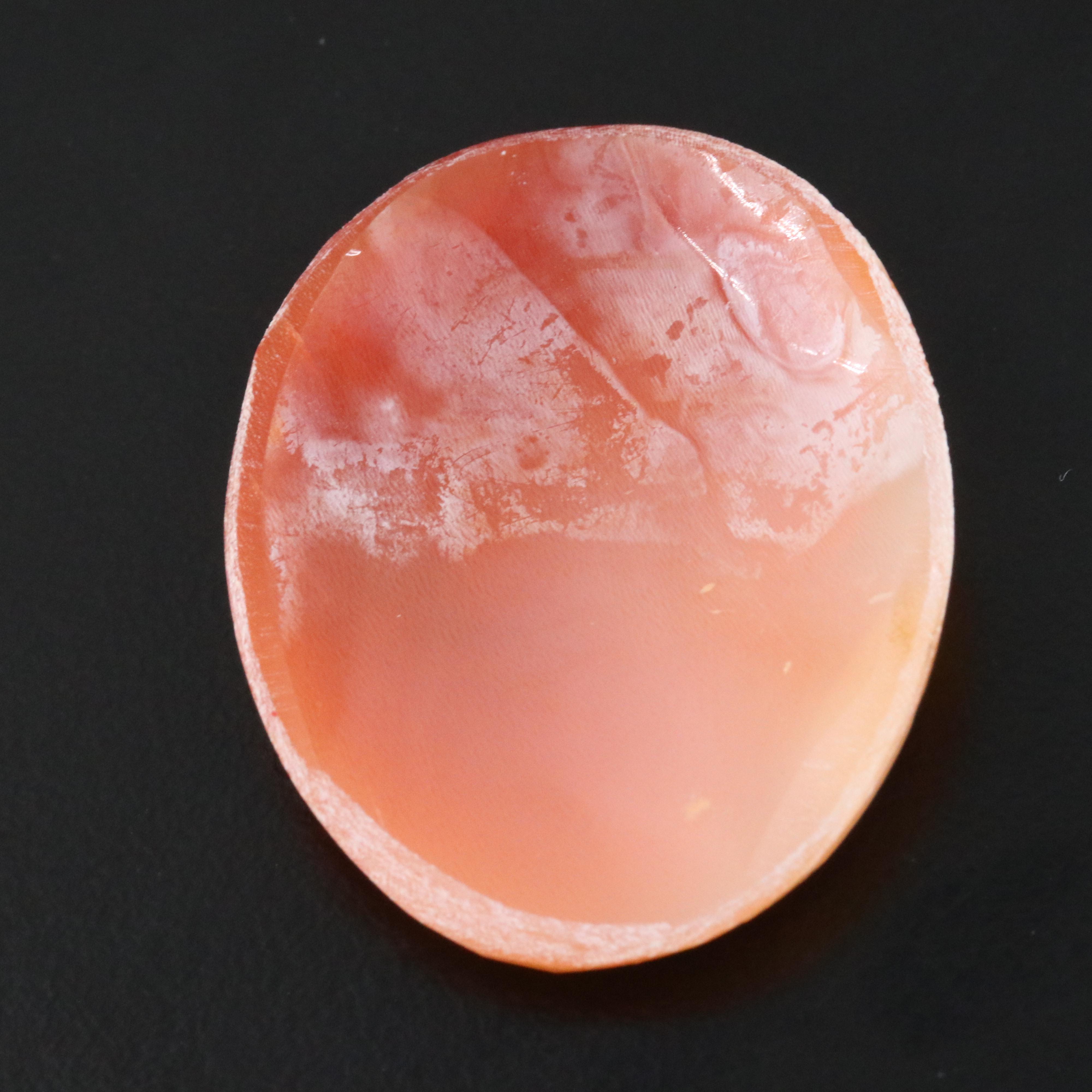 Loose Shell Cameo