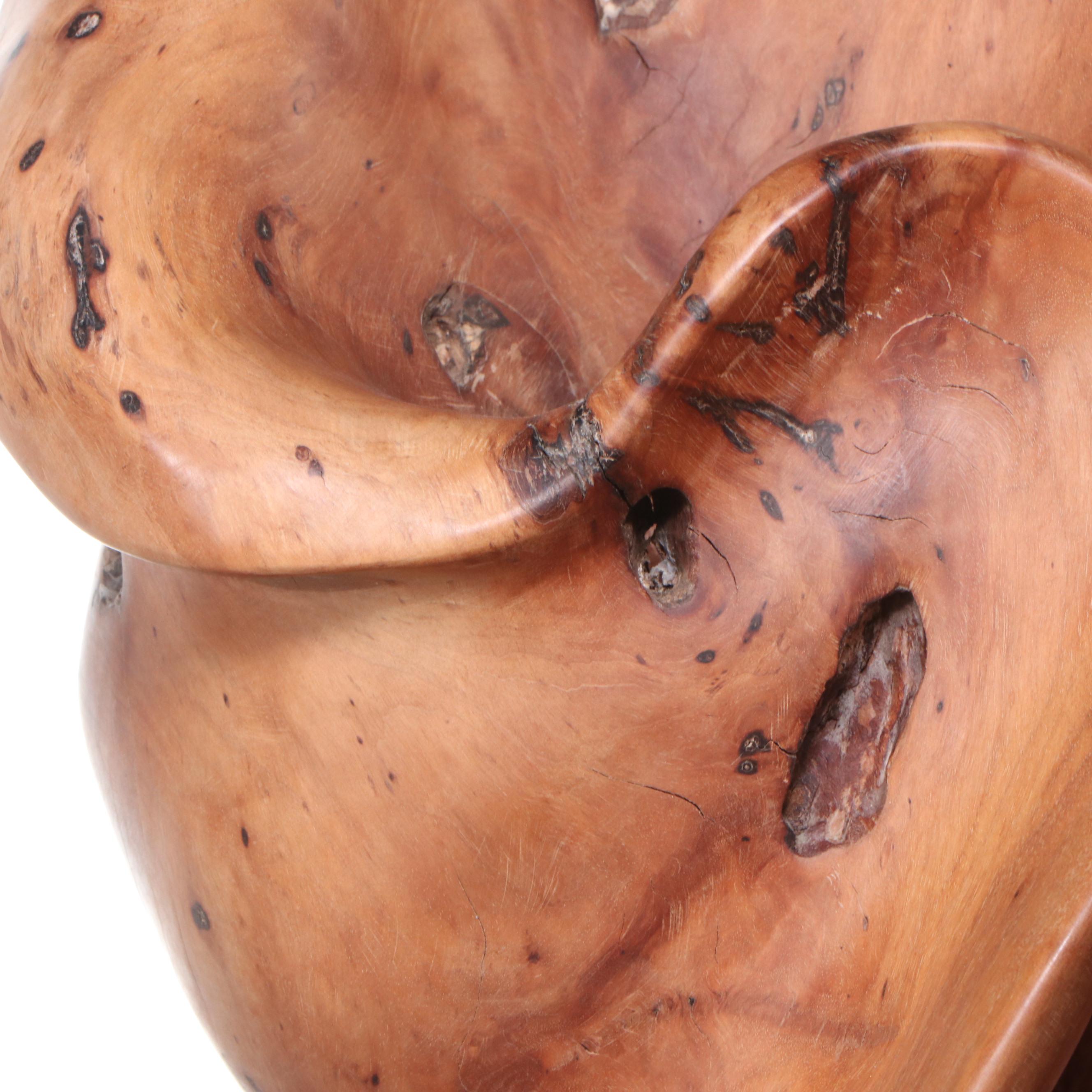 Organic Burl Teak Root Sculpture