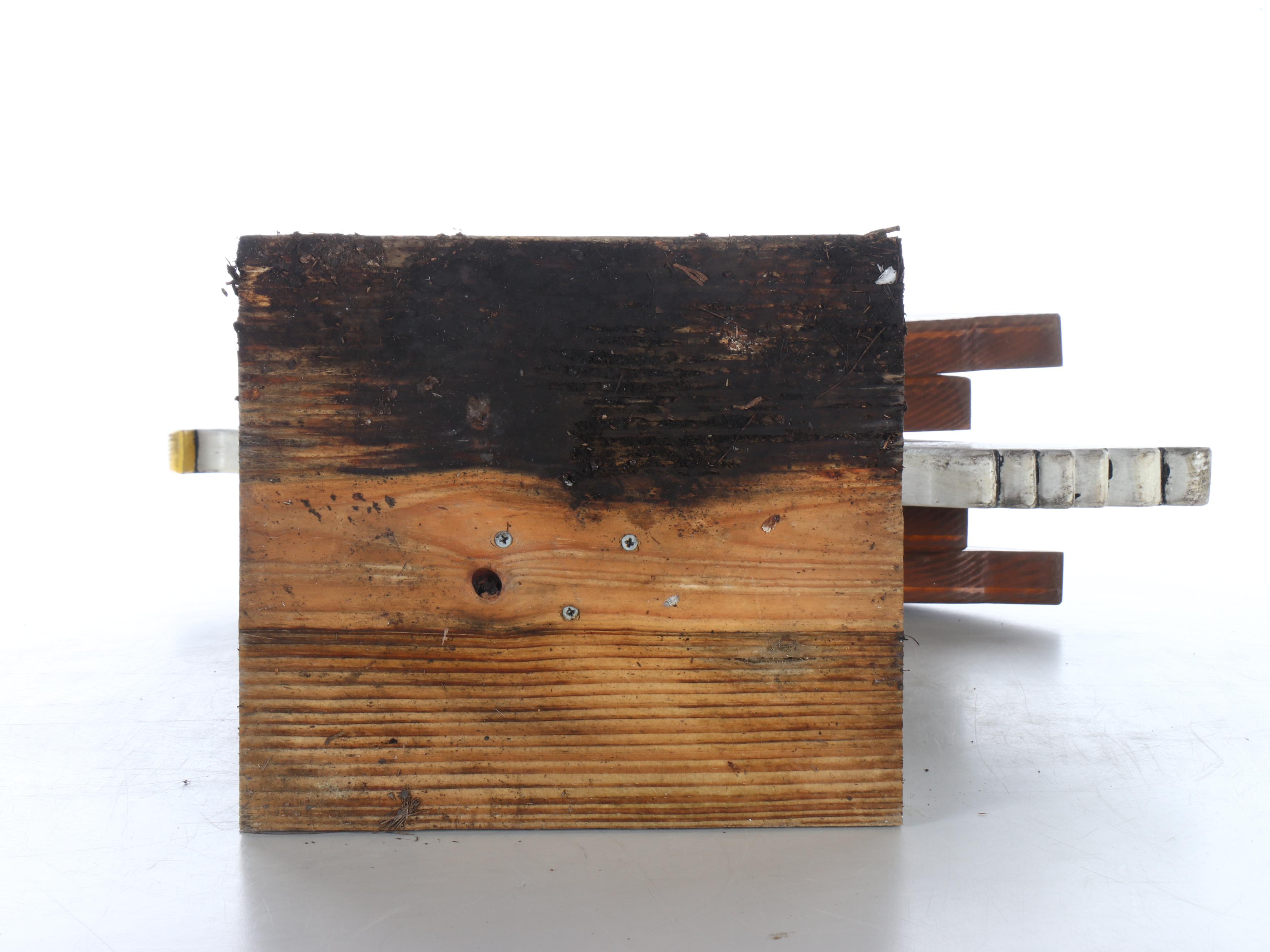 Handcrafted Wooden Bald Eagle Garden Statue