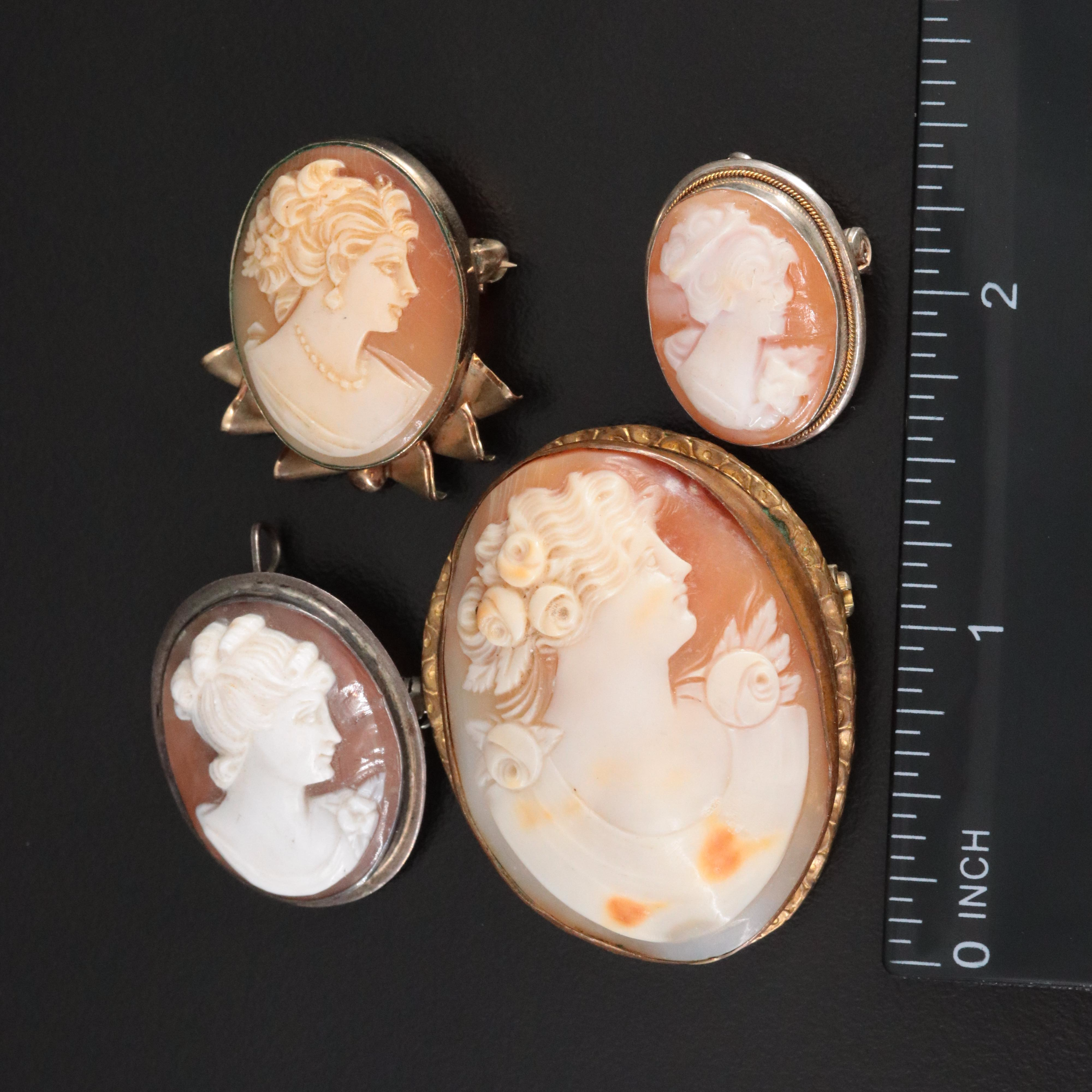 Cameo Brooch and Converter Brooch Collection