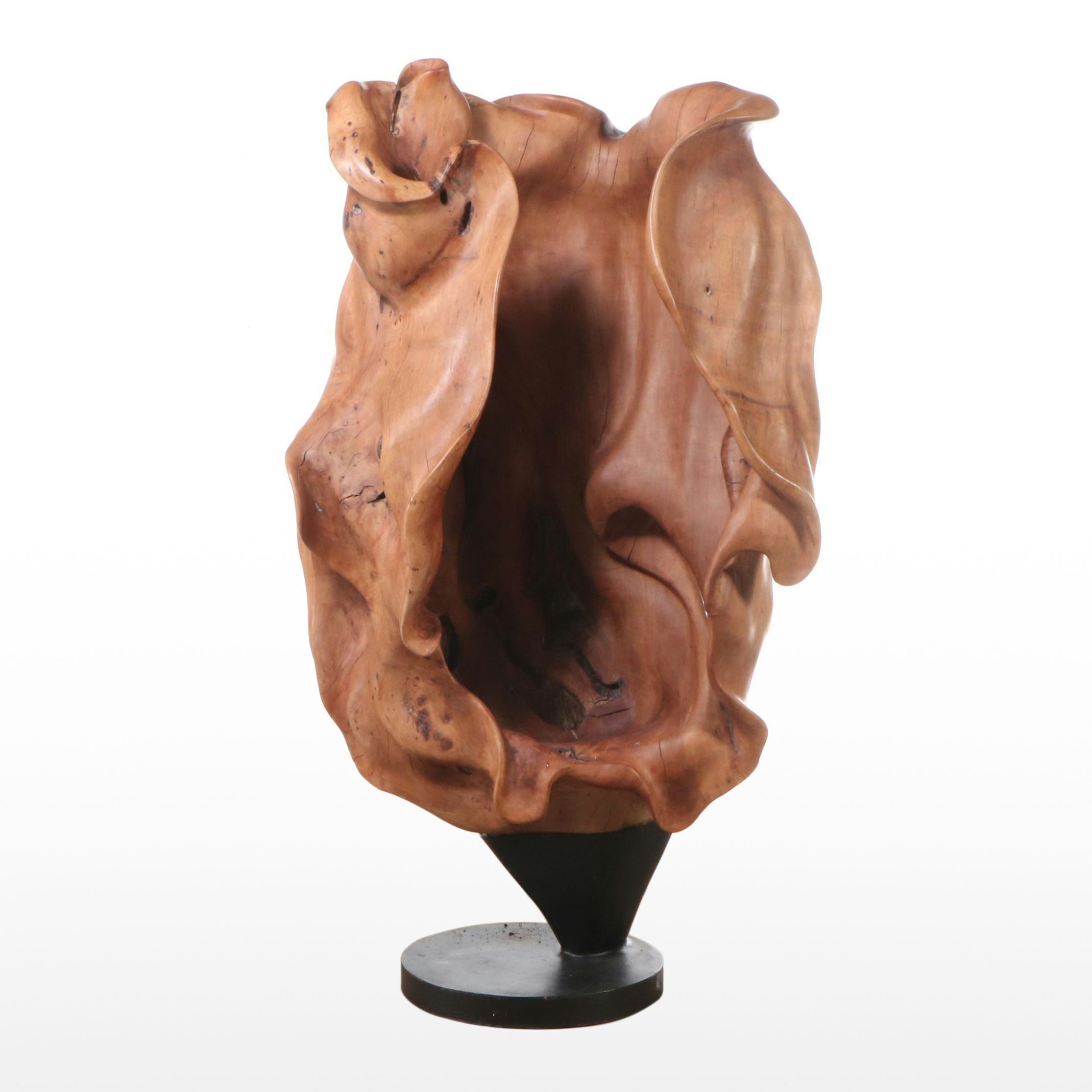 Organic Burl Teak Root Sculpture