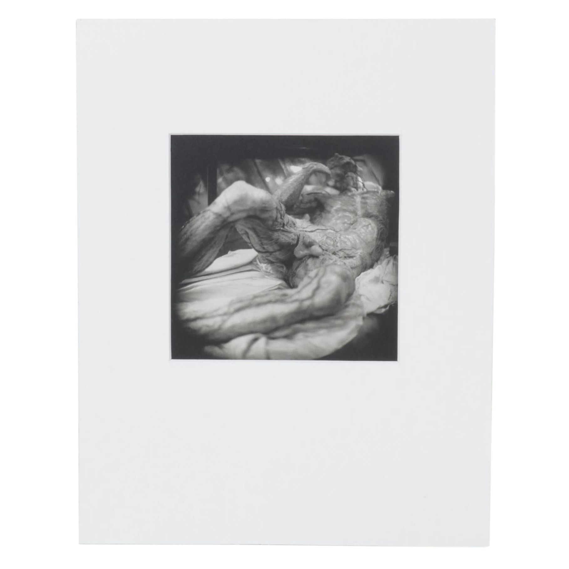 Lithograph Print "La Specola Study #4" After Keith Carter, 2001